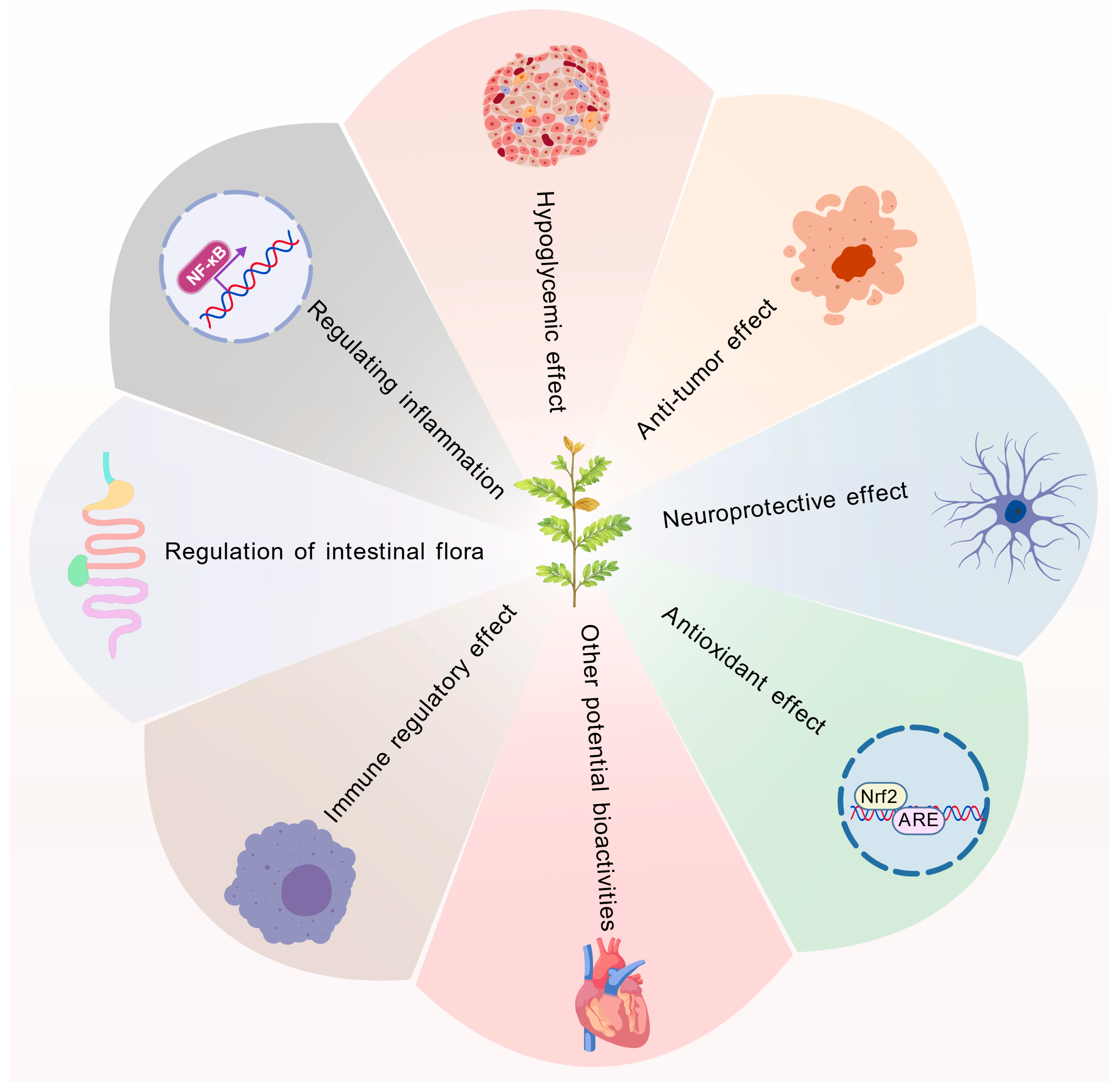Ijms 26 12129 g003 Ijms 26 12129 g003