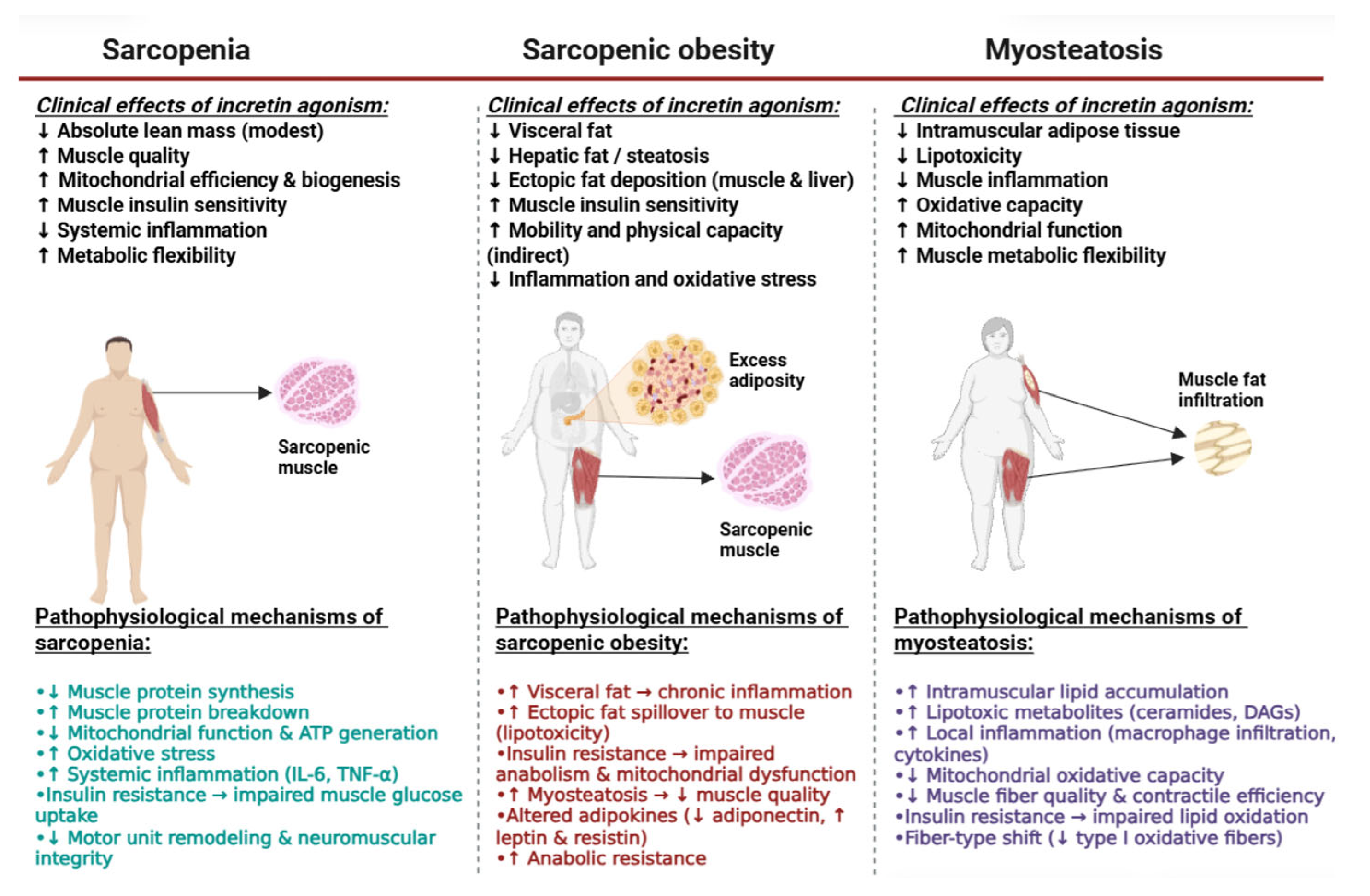 Ijms 26 12130 g004 Ijms 26 12130 g004