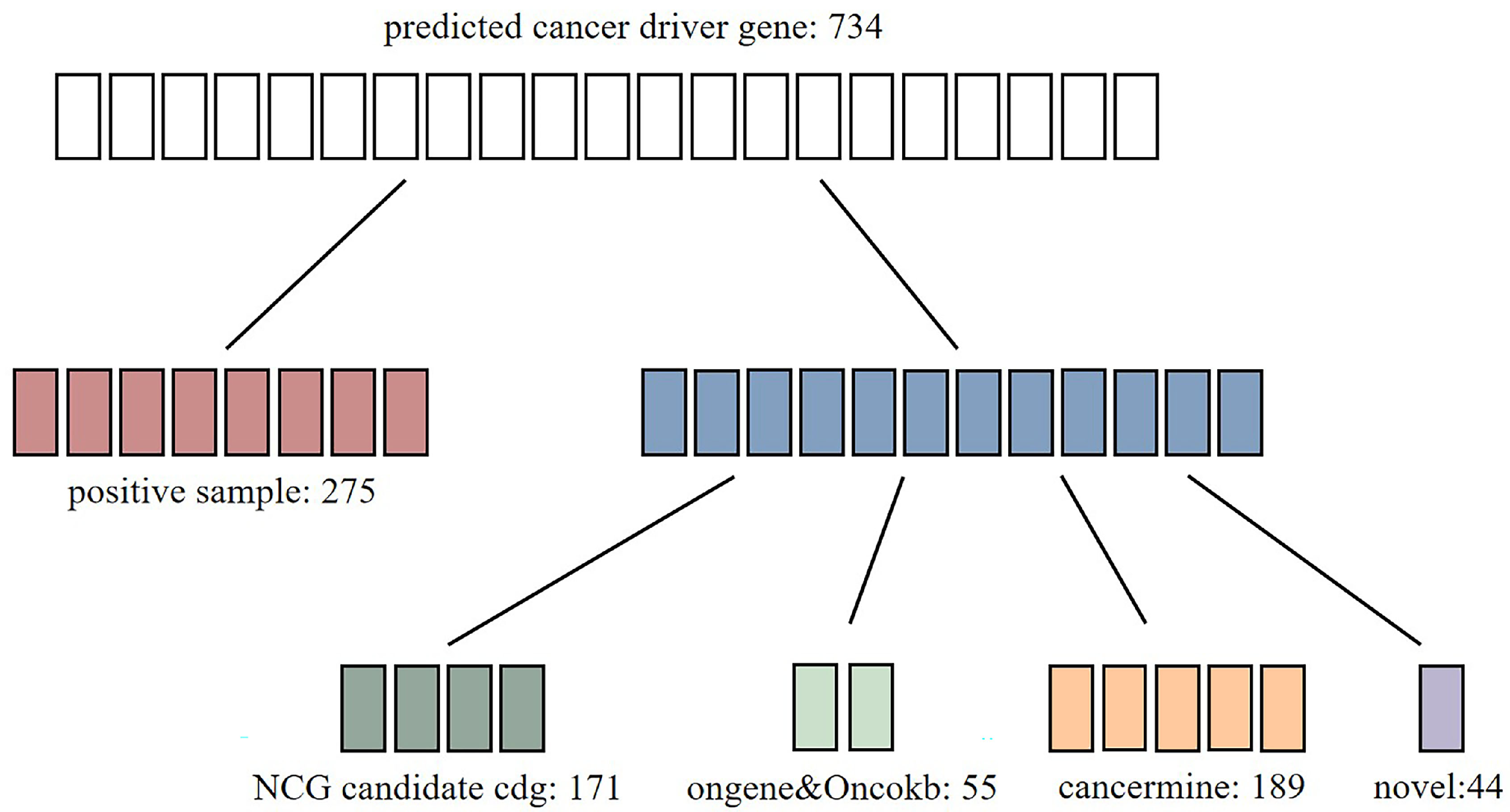 Ijms 26 12132 g002 Ijms 26 12132 g002