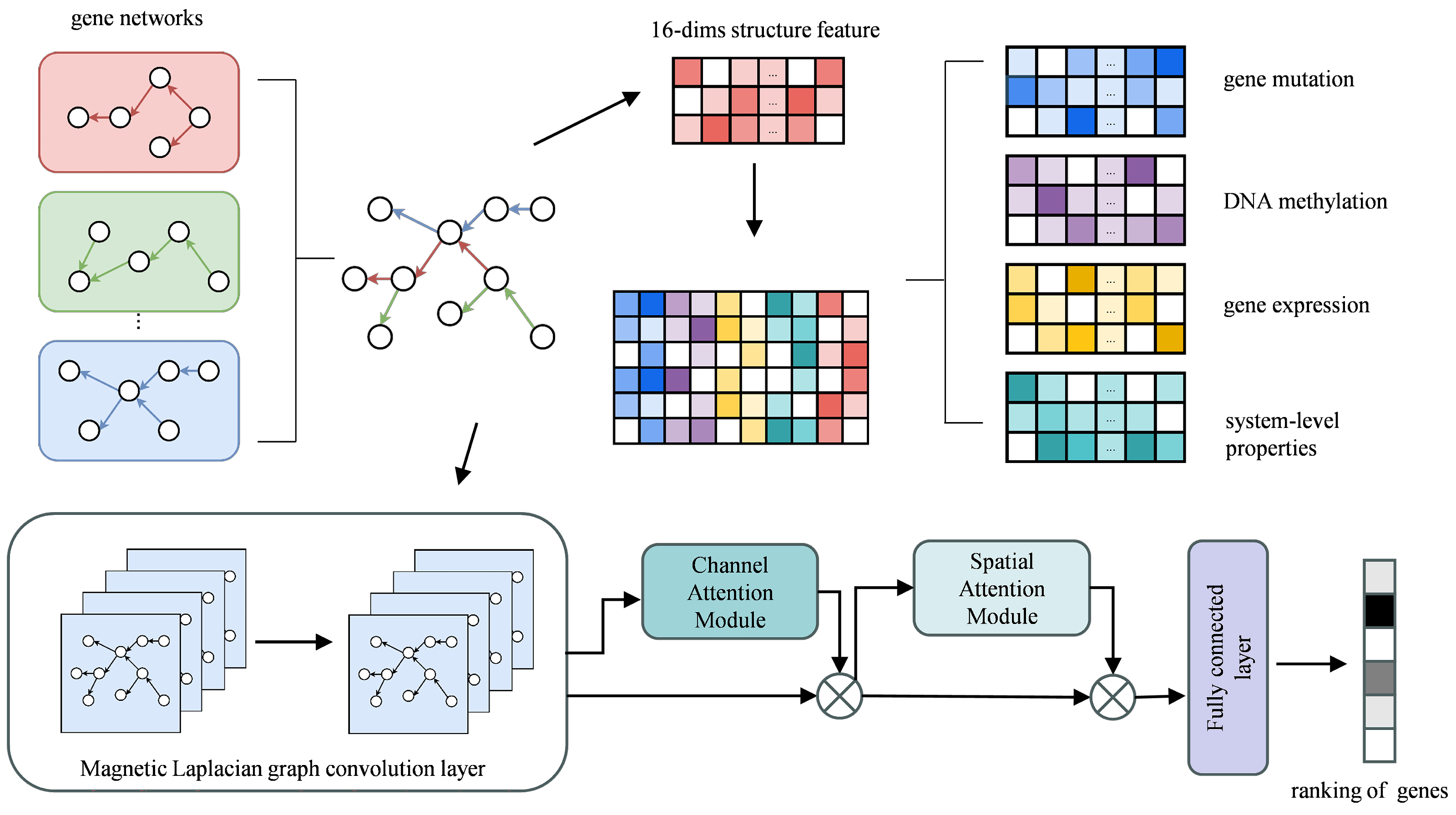 Ijms 26 12132 g005 Ijms 26 12132 g005