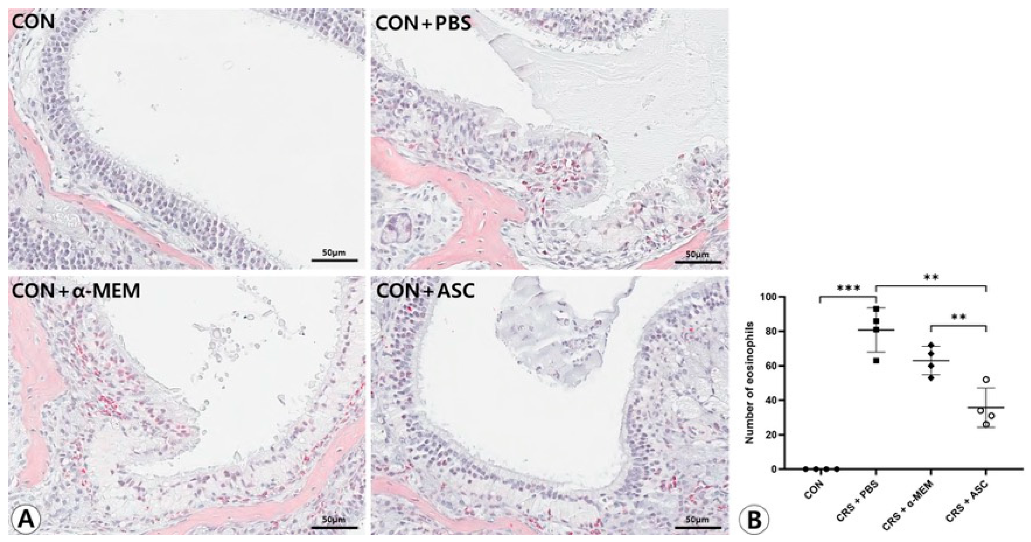 Ijms 26 12137 g002 Ijms 26 12137 g002