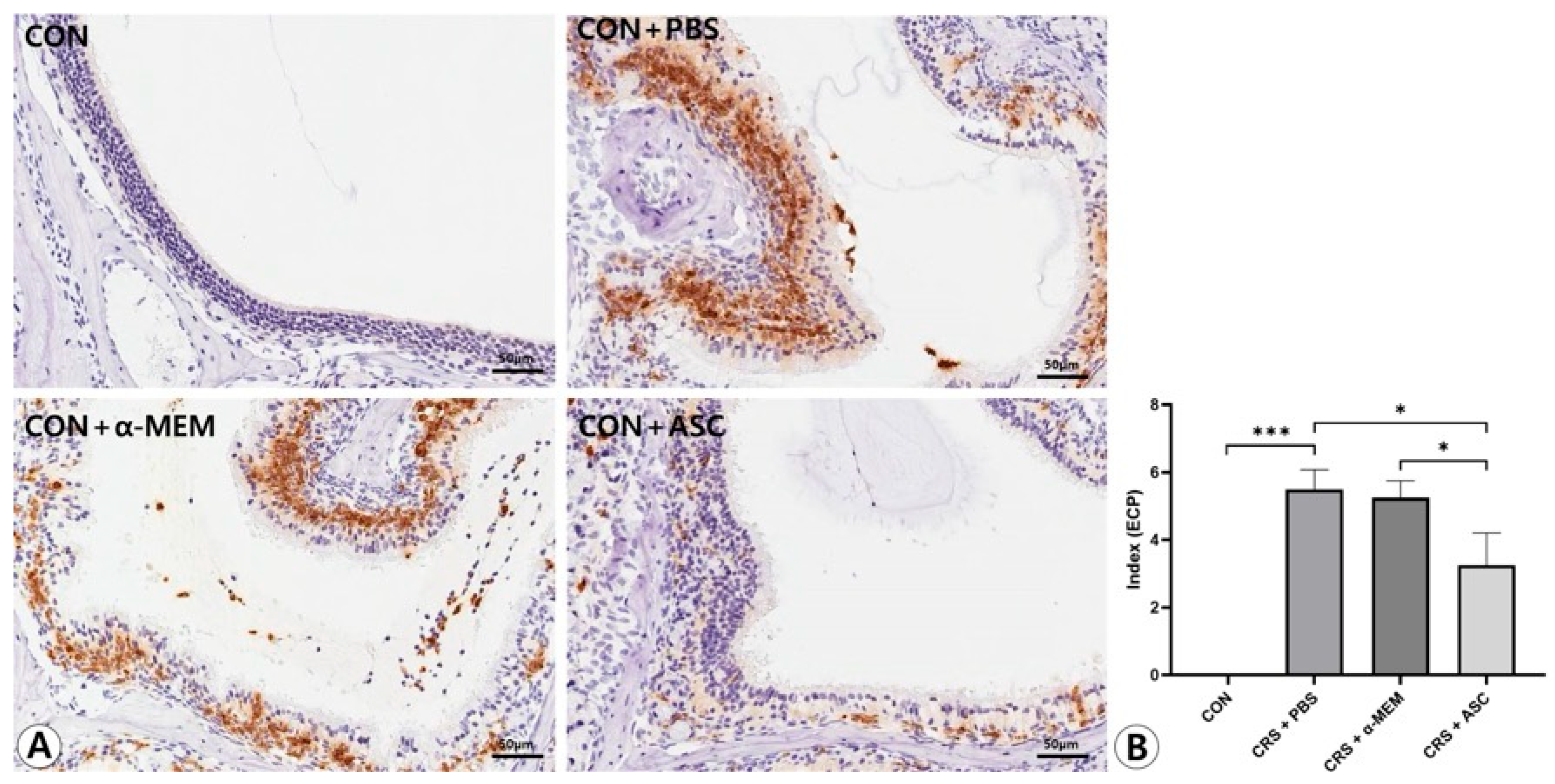 Ijms 26 12137 g005 Ijms 26 12137 g005