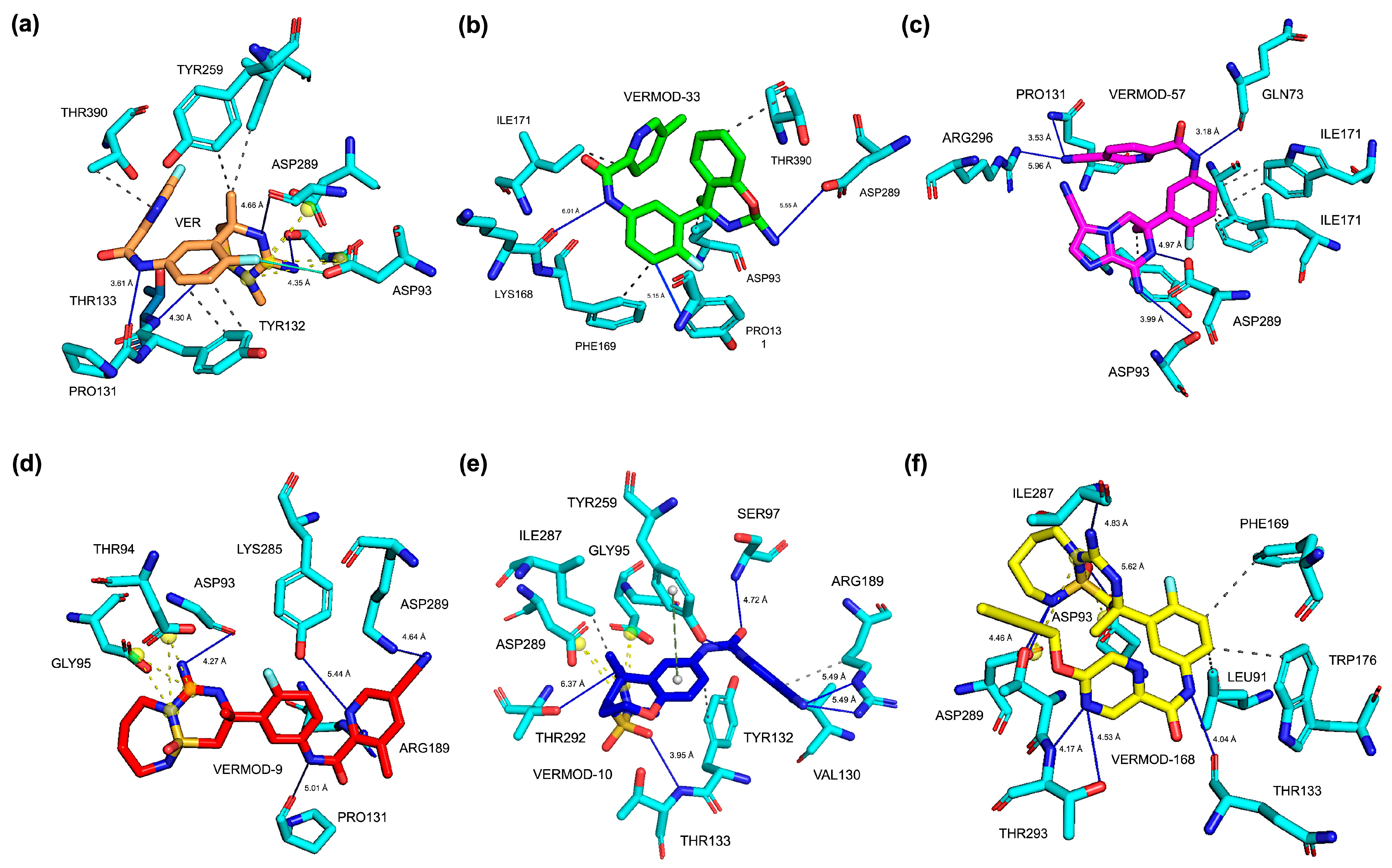 Ijms 26 12143 g003 Ijms 26 12143 g003