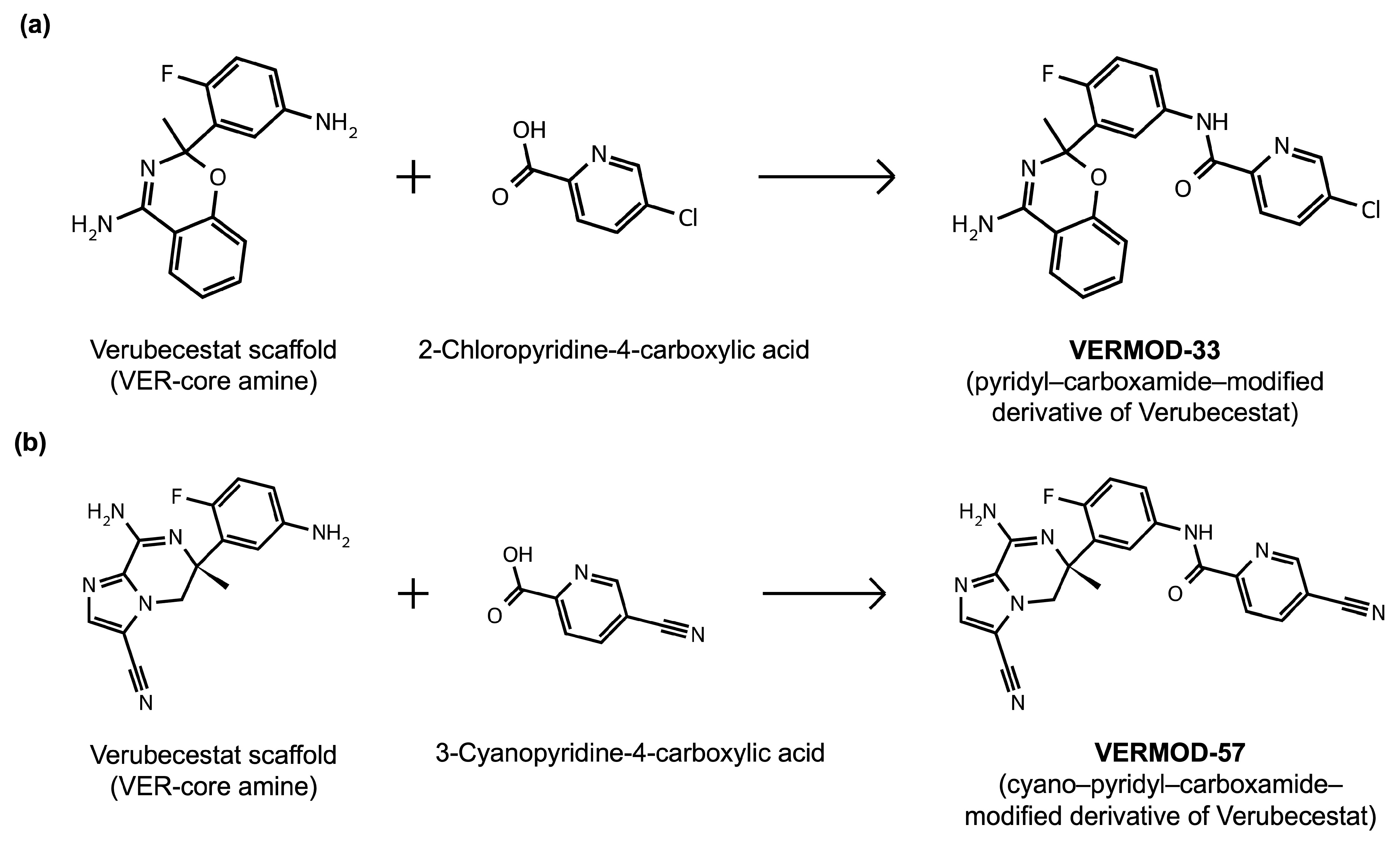 Ijms 26 12143 g008 Ijms 26 12143 g008