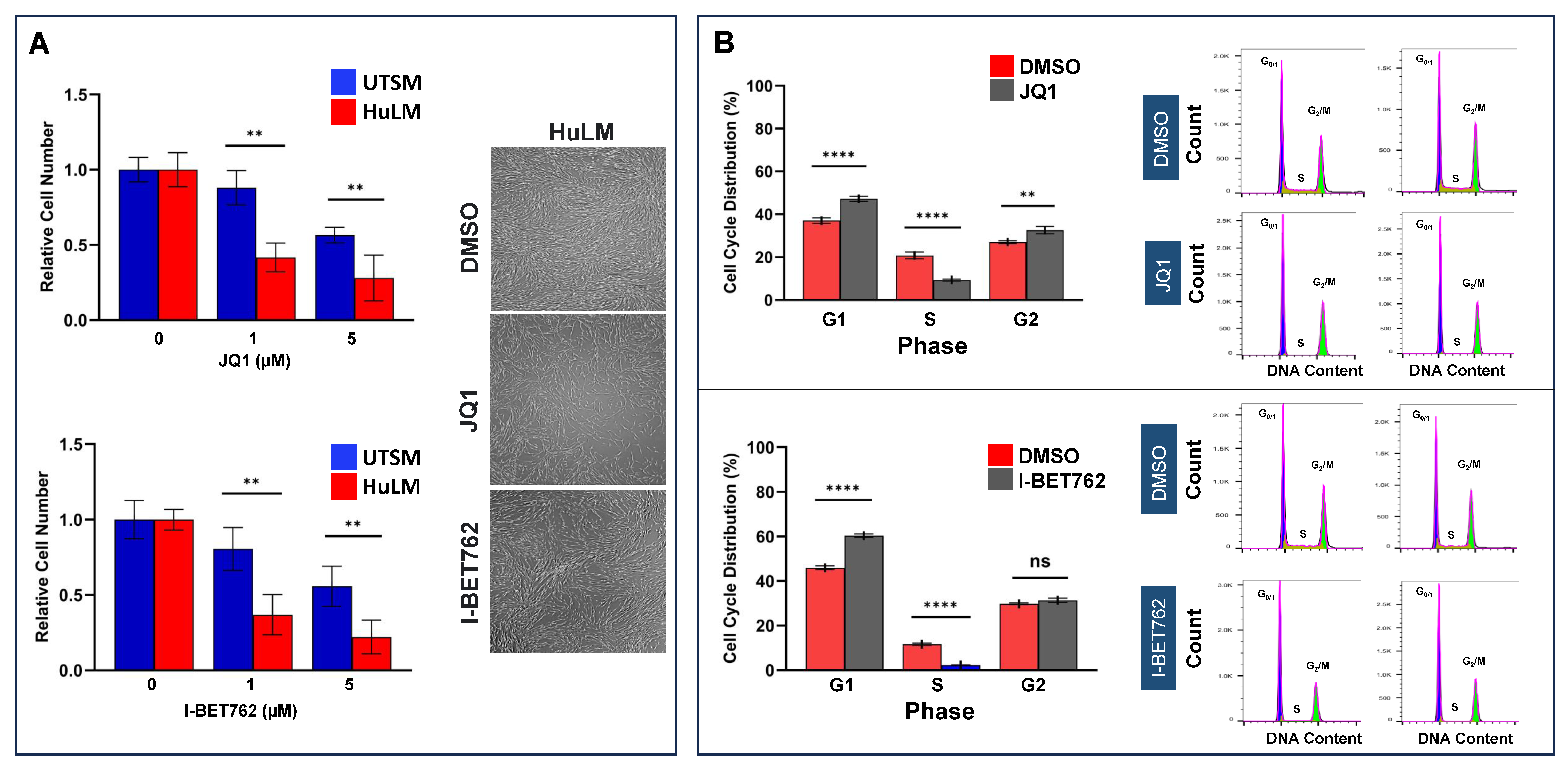 Ijms 26 12144 g002 Ijms 26 12144 g002