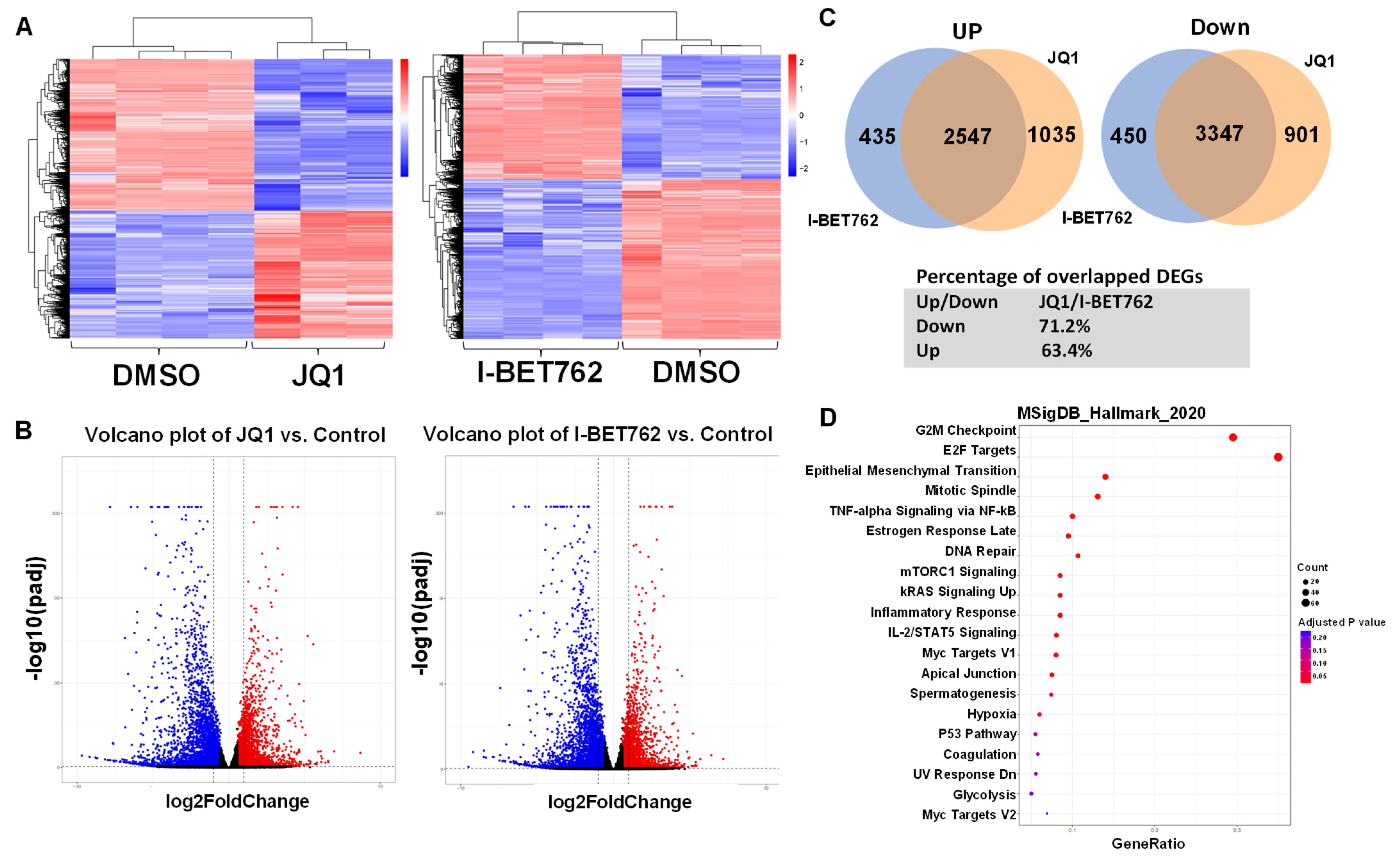Ijms 26 12144 g003 Ijms 26 12144 g003