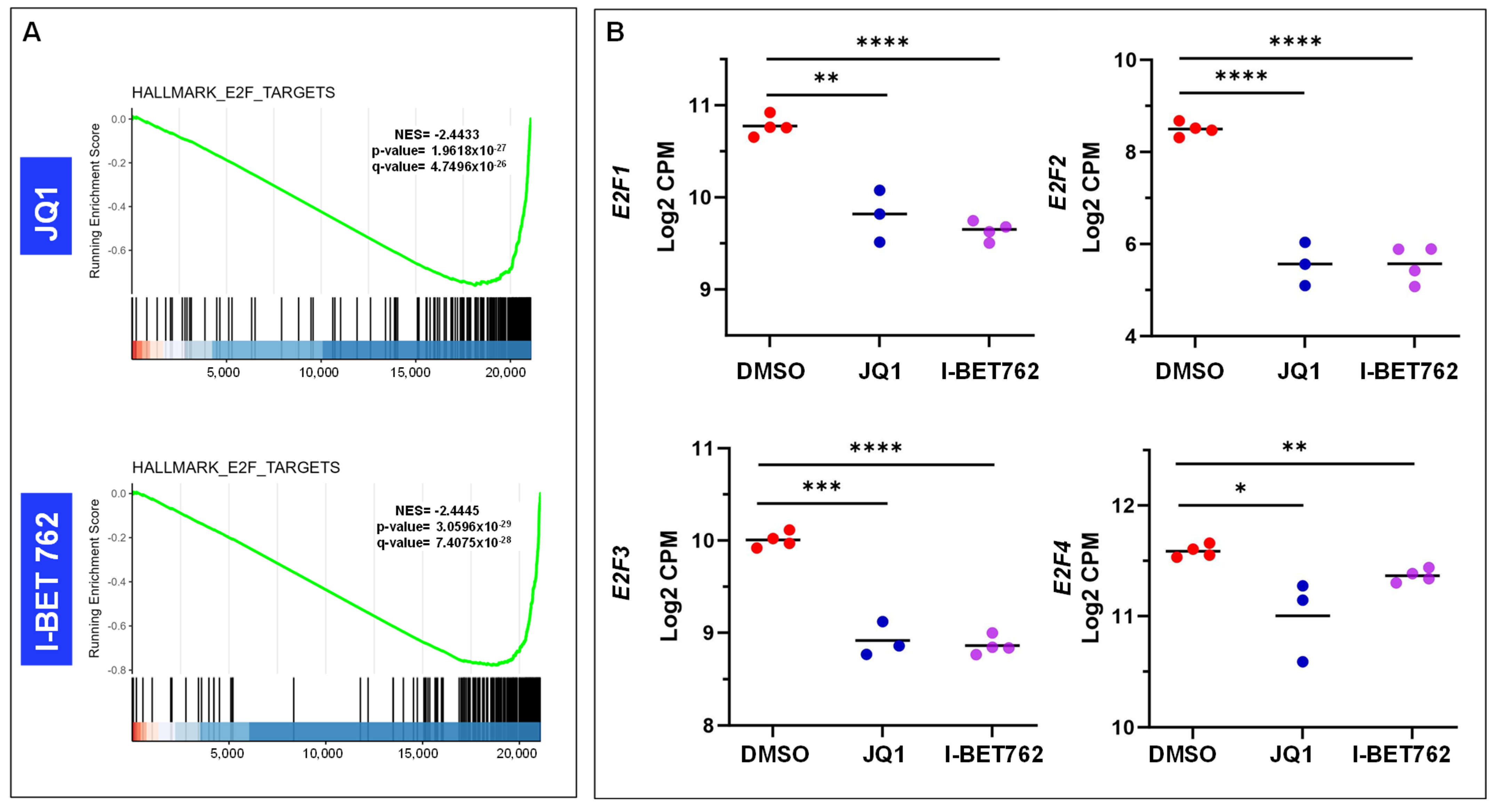 Ijms 26 12144 g007 Ijms 26 12144 g007