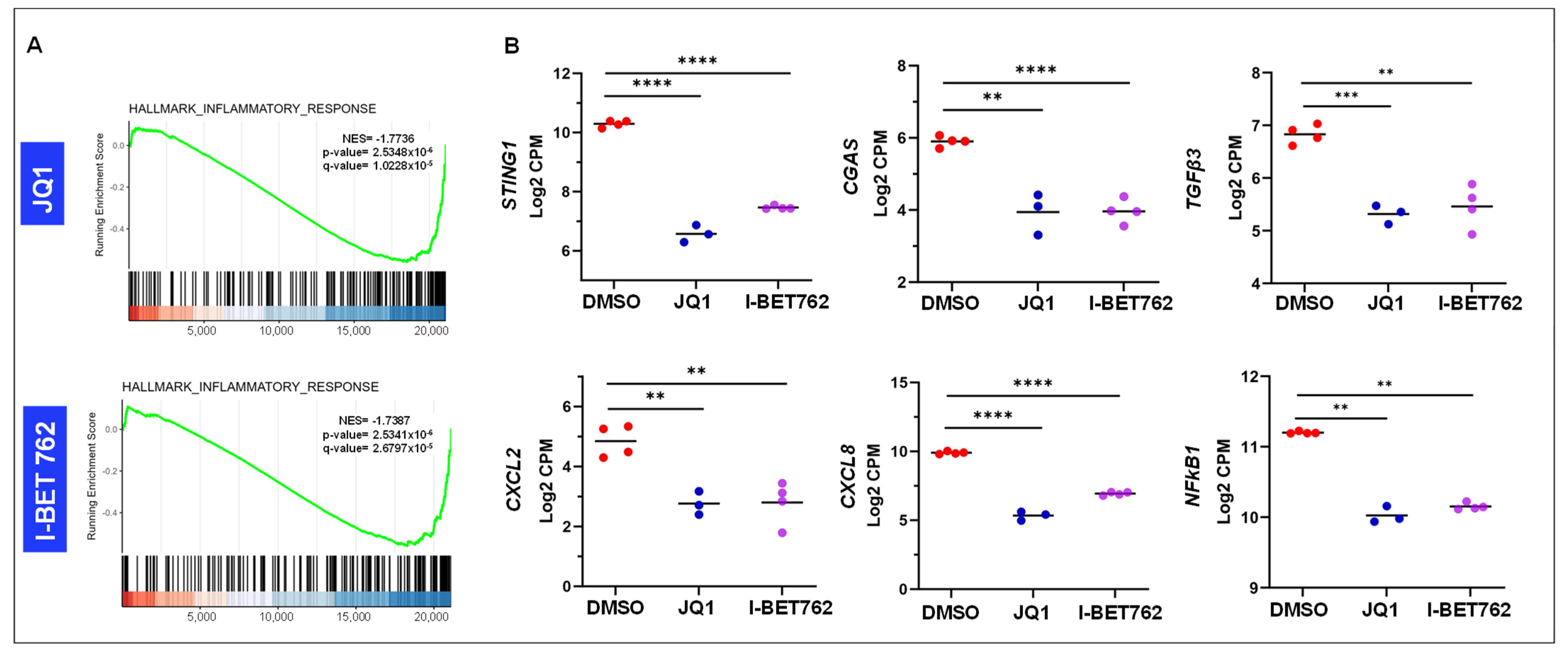 Ijms 26 12144 g008 Ijms 26 12144 g008