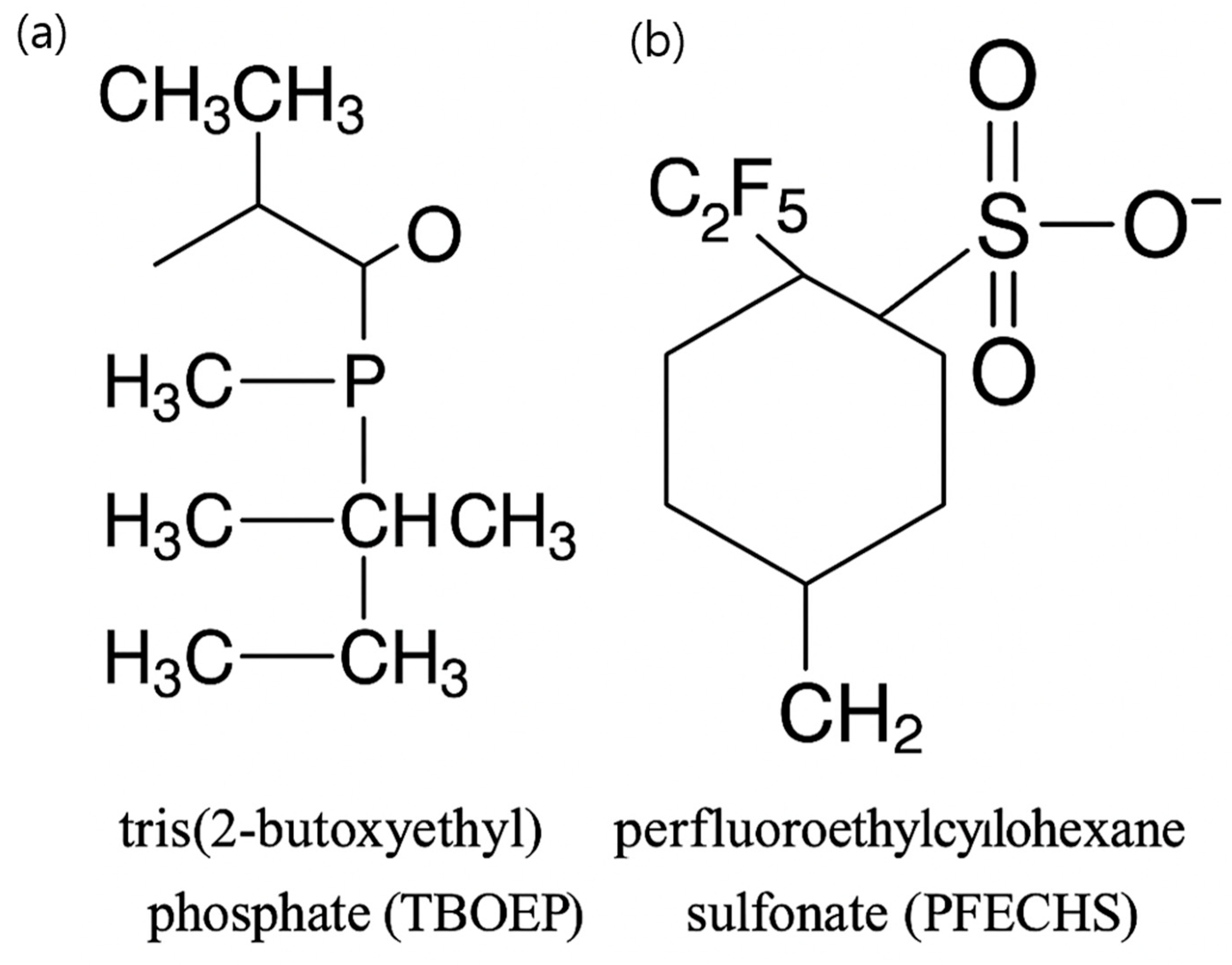 Ijms 26 12146 g001 Ijms 26 12146 g001