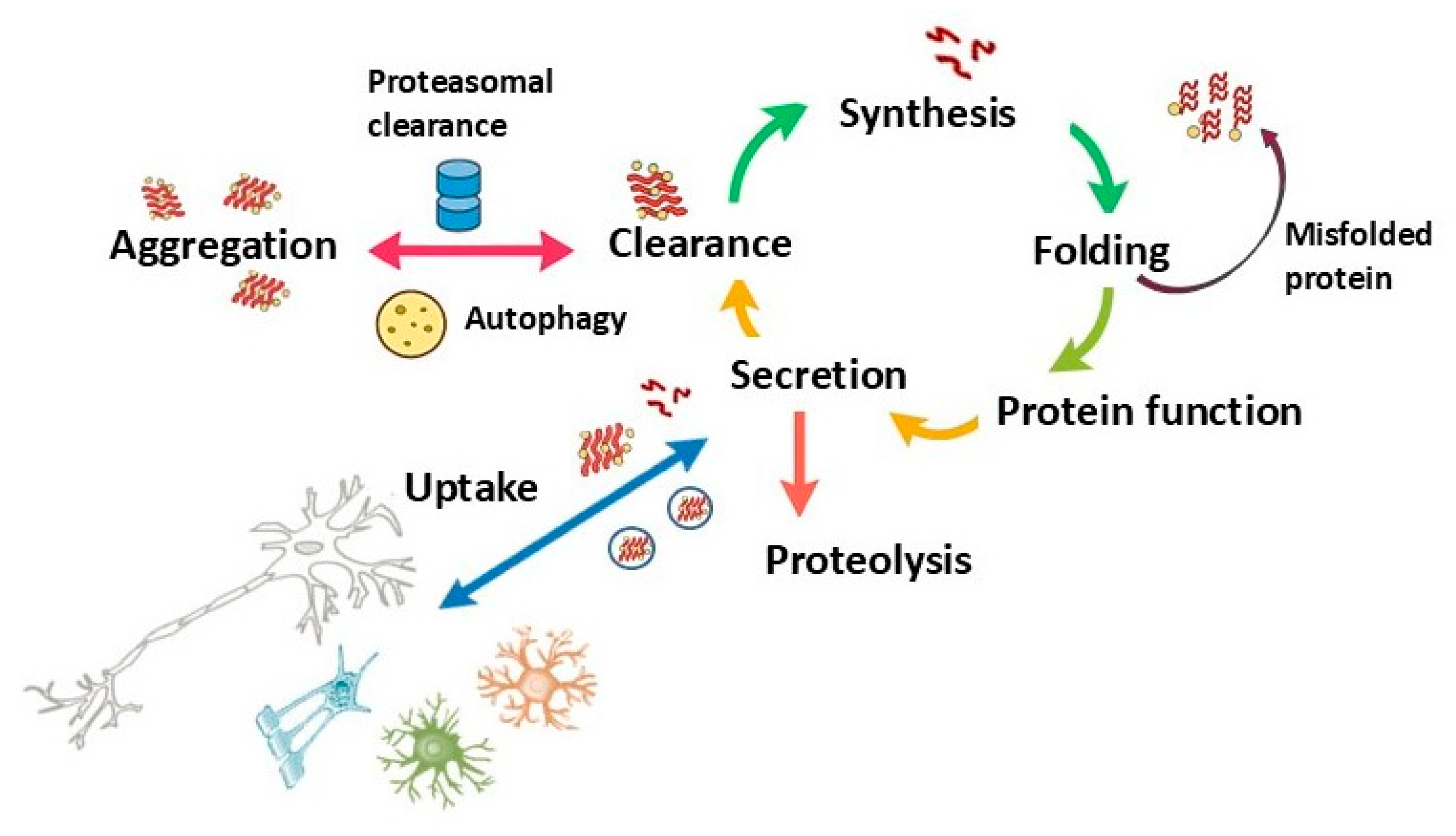 Ijms 26 12153 g003 Ijms 26 12153 g003