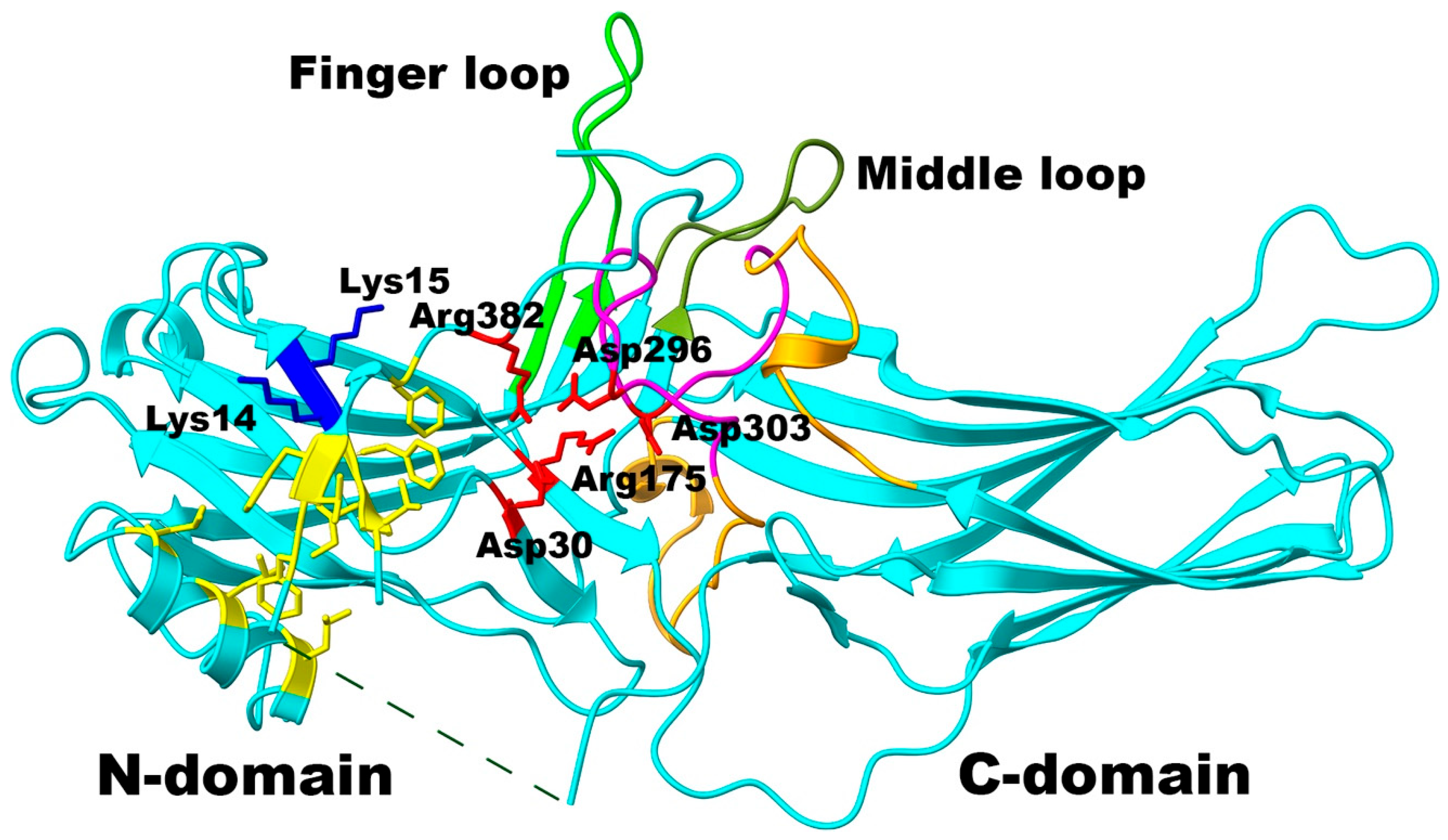 Ijms 26 12154 g001 Ijms 26 12154 g001
