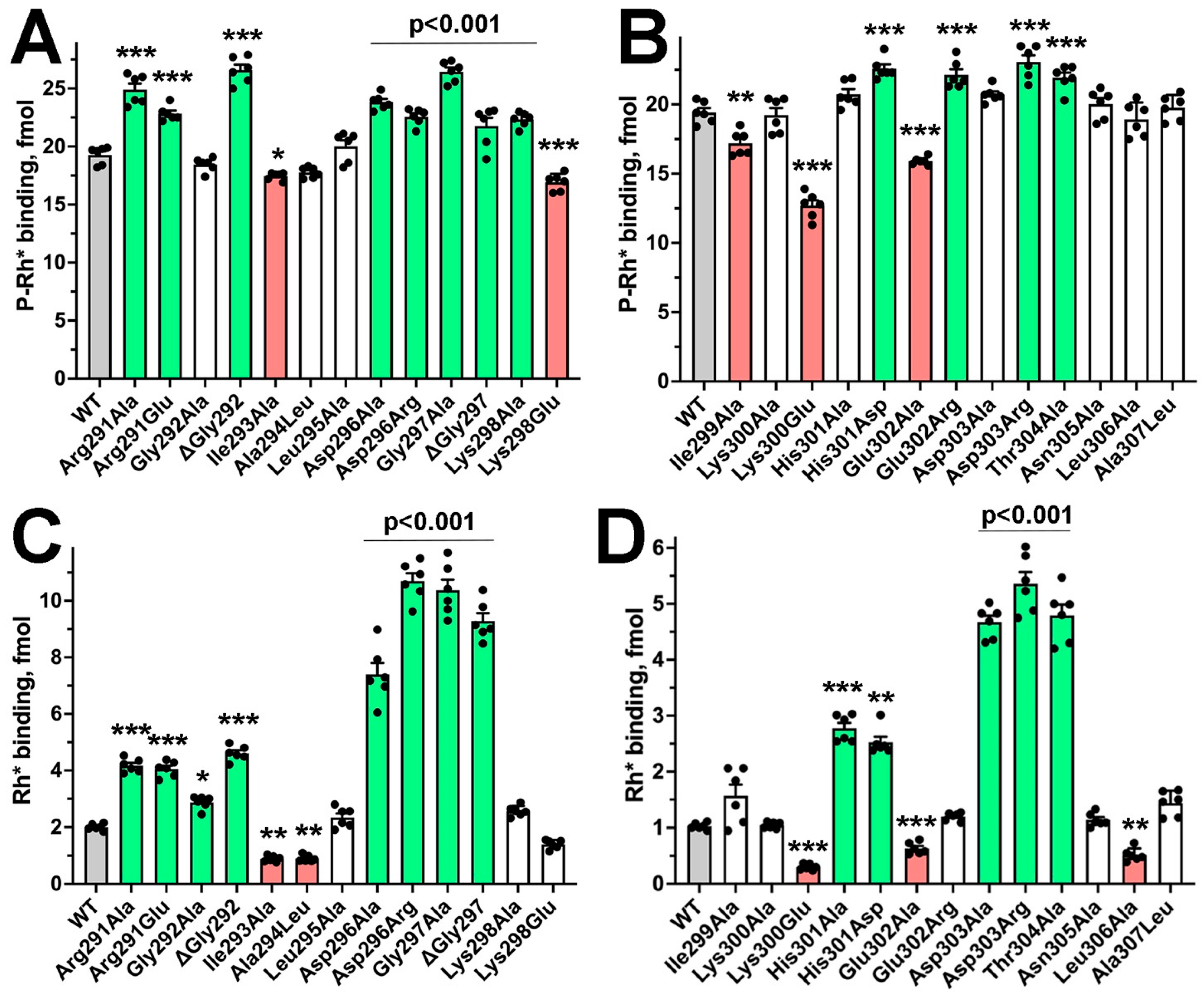 Ijms 26 12154 g004 Ijms 26 12154 g004
