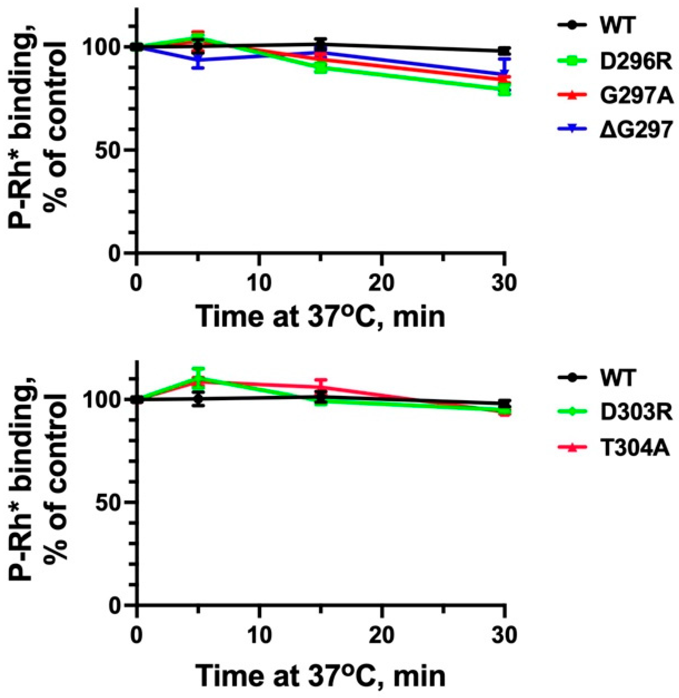 Ijms 26 12154 g005 Ijms 26 12154 g005
