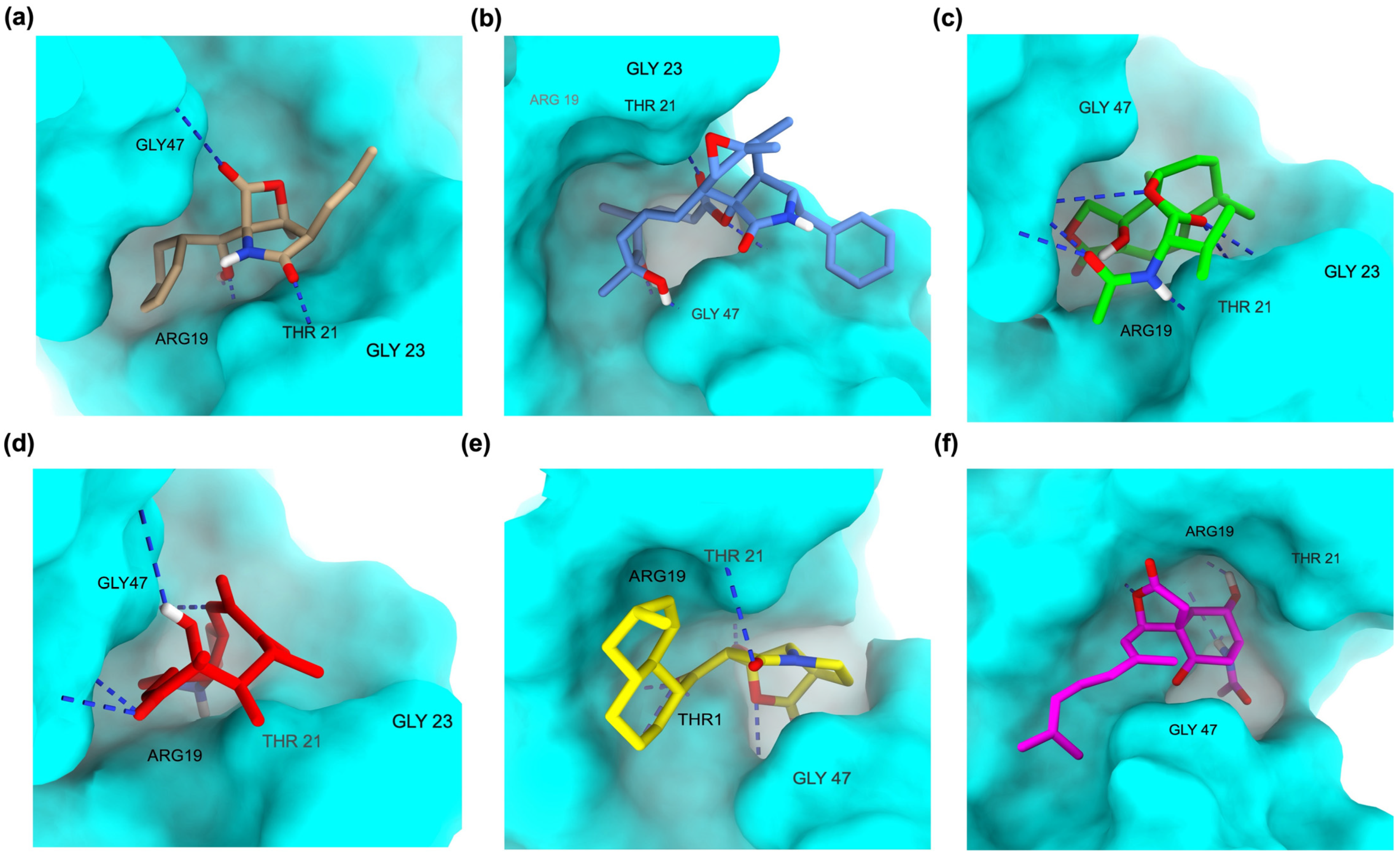 Ijms 26 12159 g003 Ijms 26 12159 g003