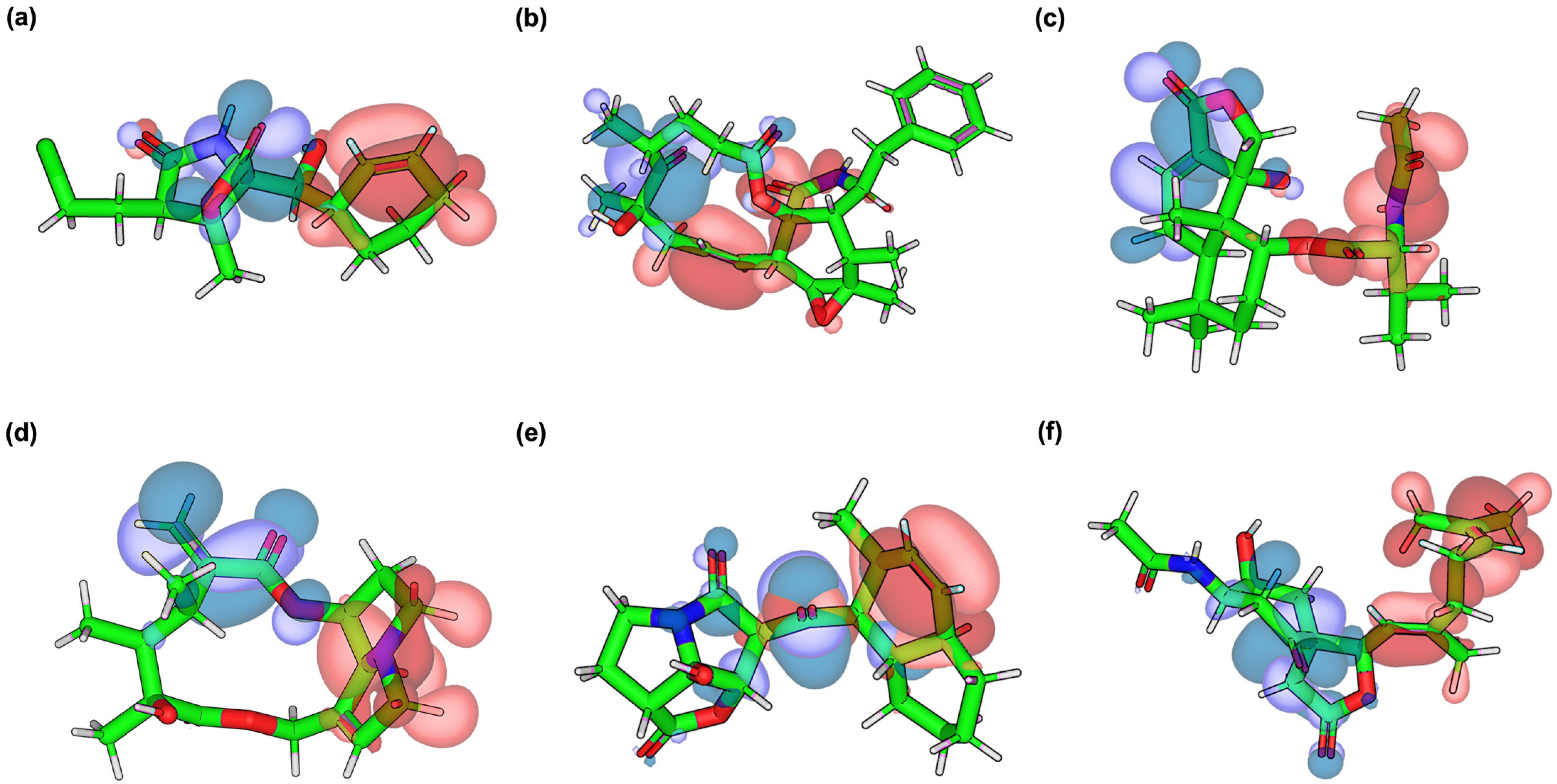 Ijms 26 12159 g004 Ijms 26 12159 g004