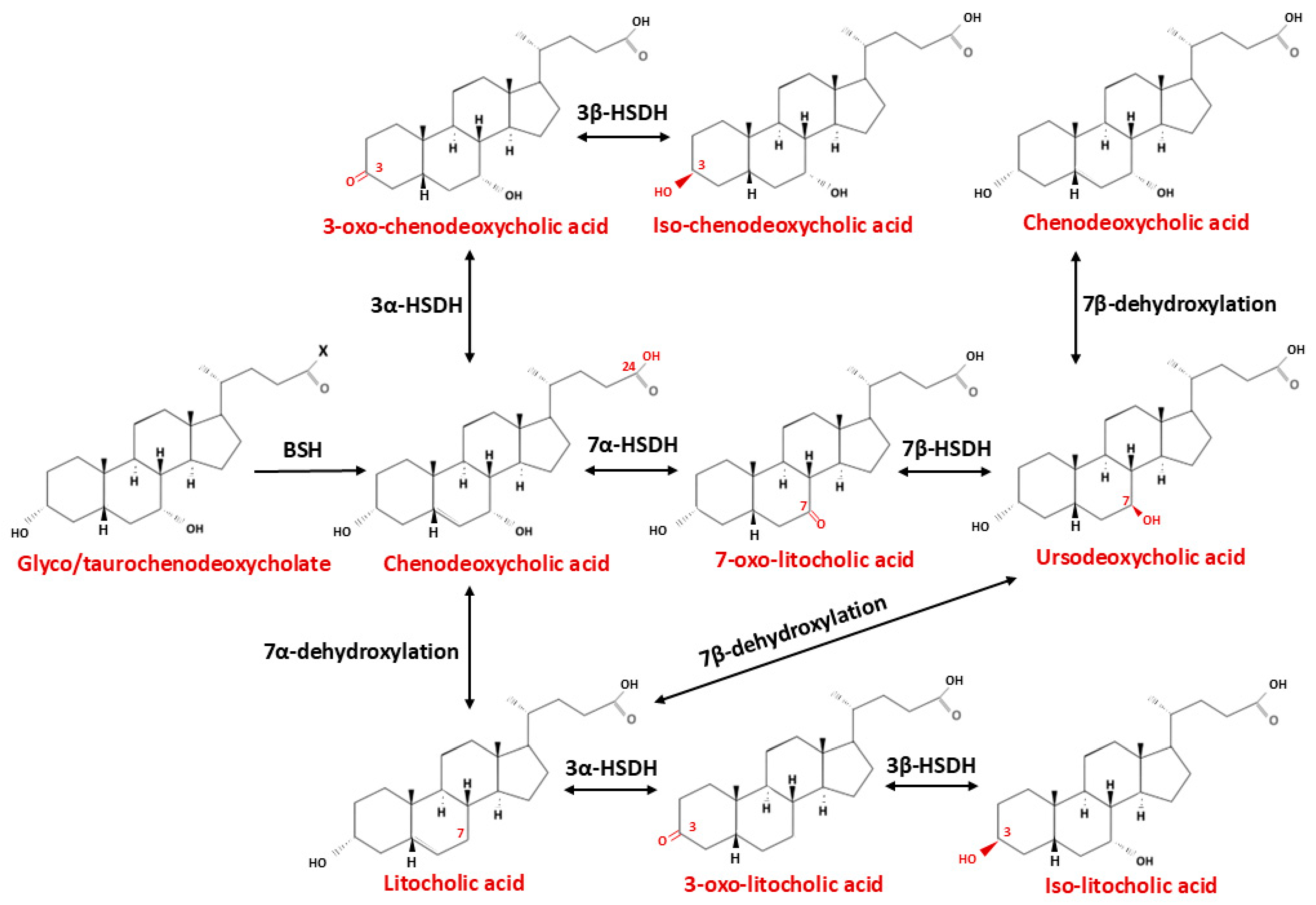 Ijms 26 12167 g004 Ijms 26 12167 g004