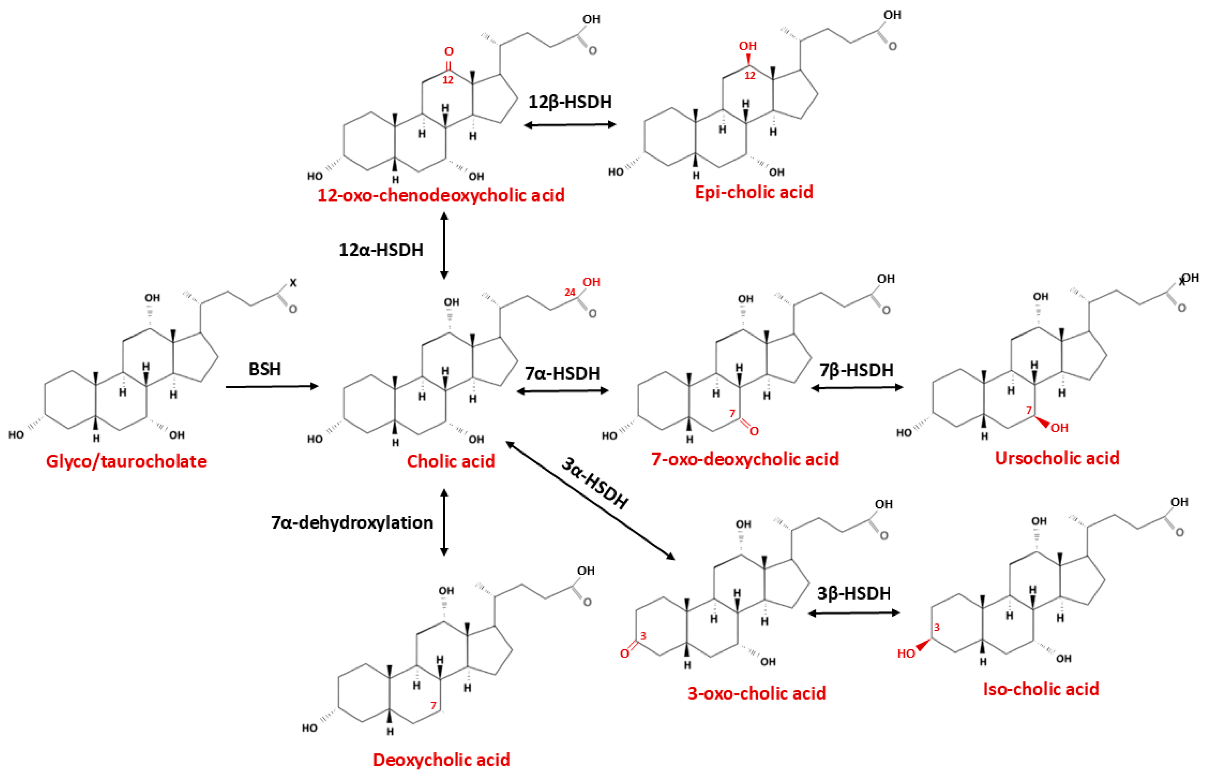Ijms 26 12167 g005 Ijms 26 12167 g005