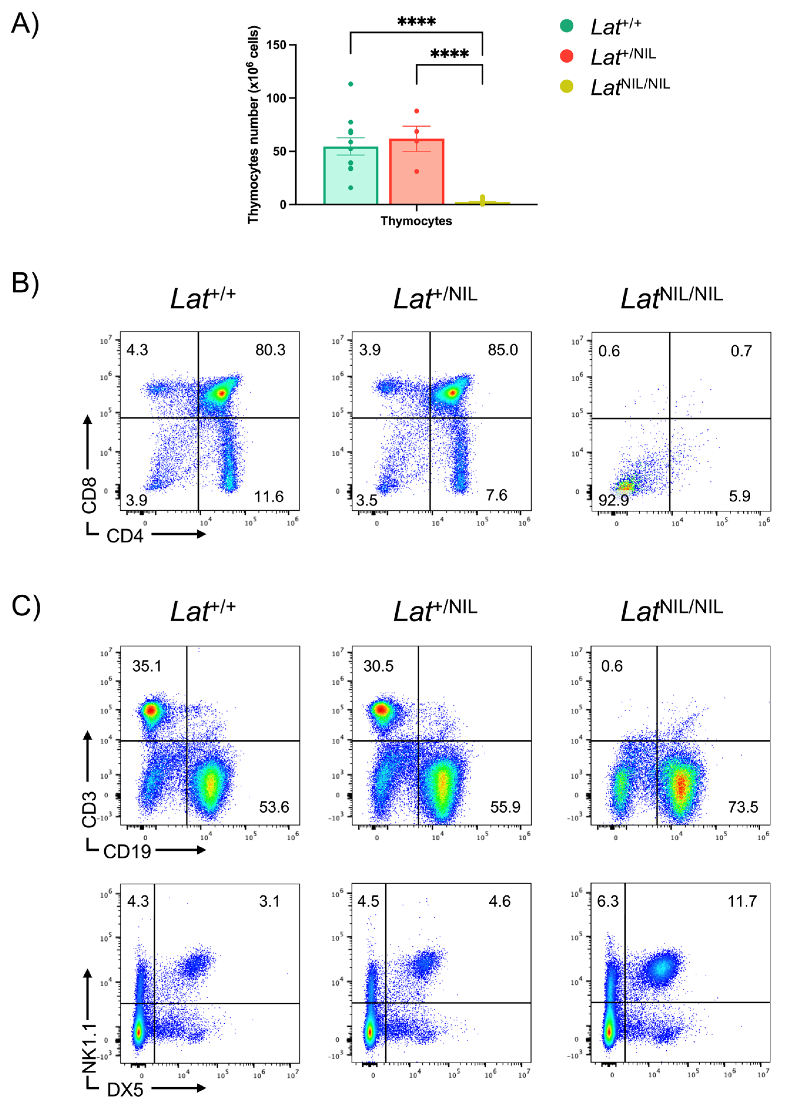 Ijms 26 12186 g001 Ijms 26 12186 g001