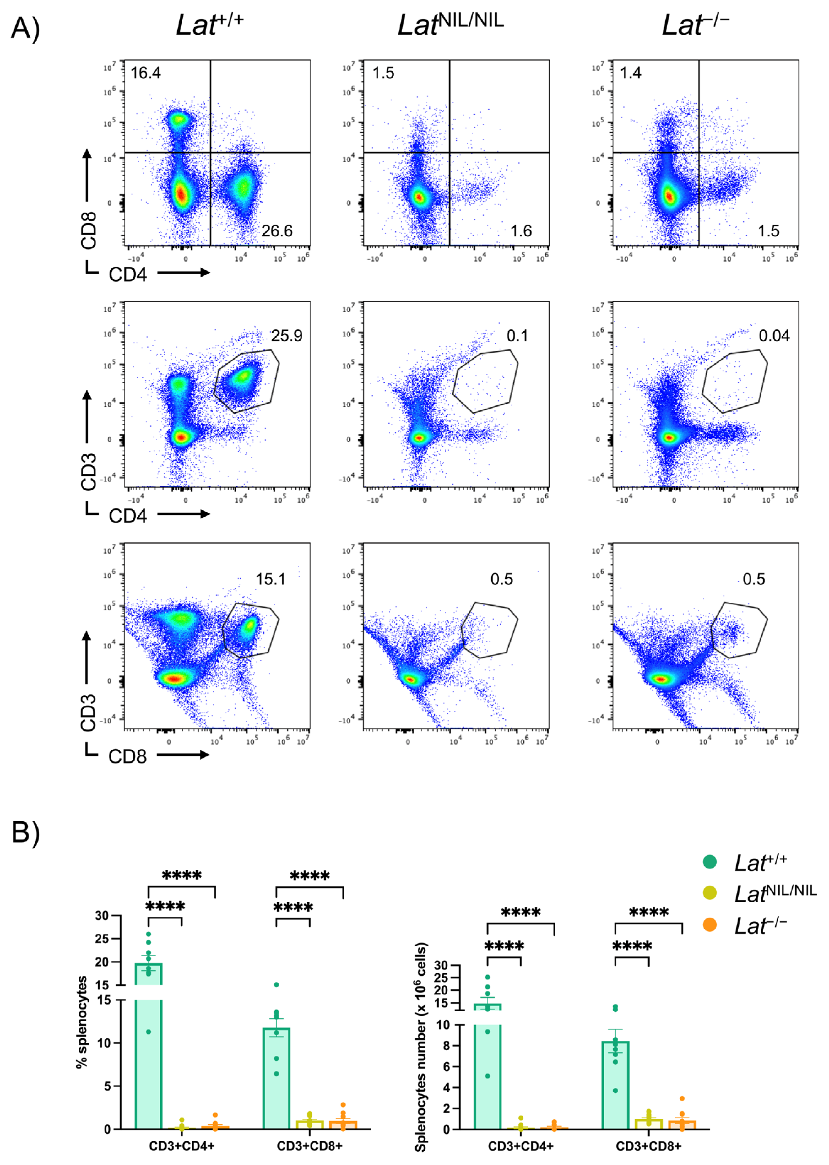 Ijms 26 12186 g003 Ijms 26 12186 g003