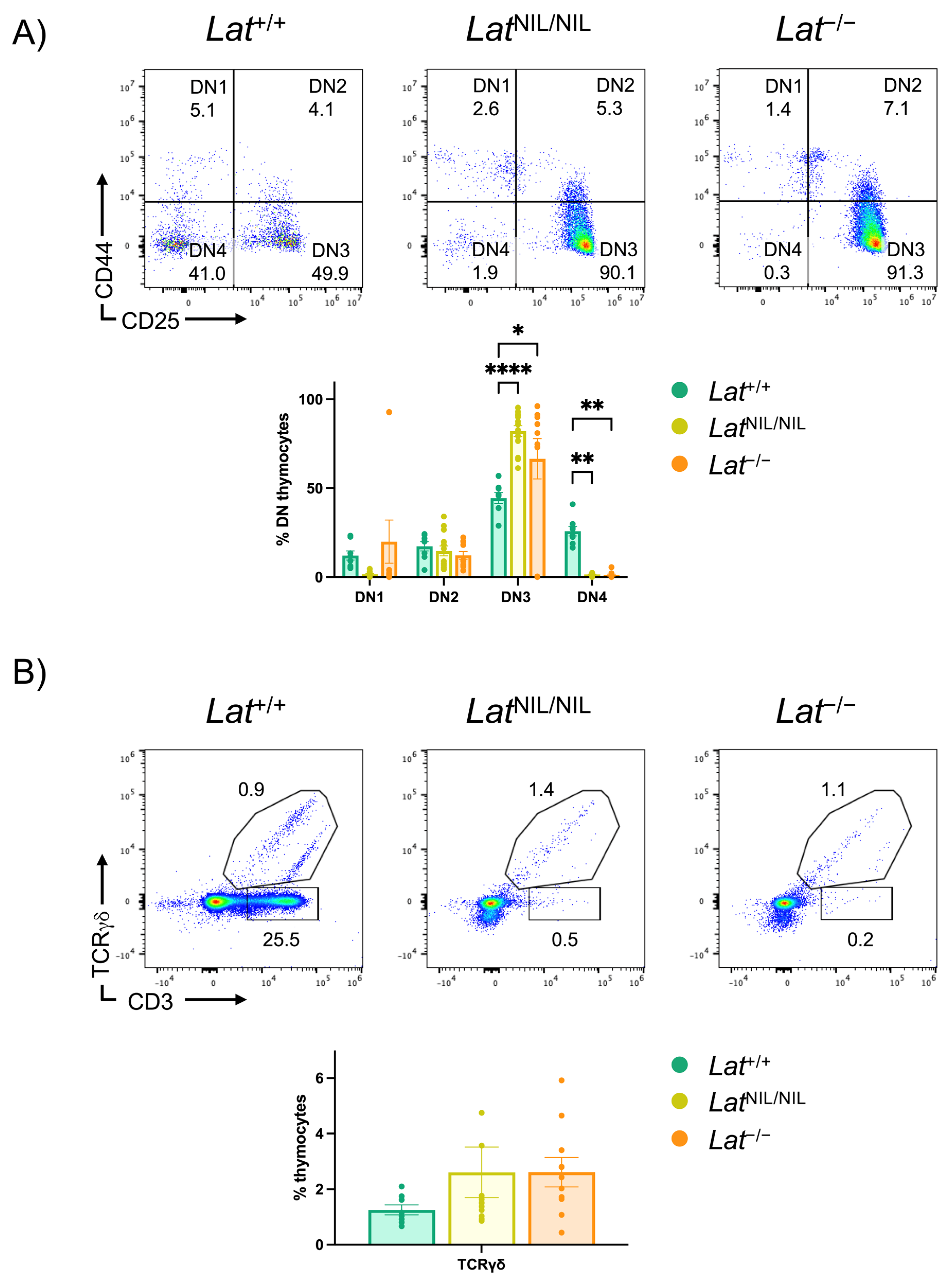 Ijms 26 12186 g004 Ijms 26 12186 g004