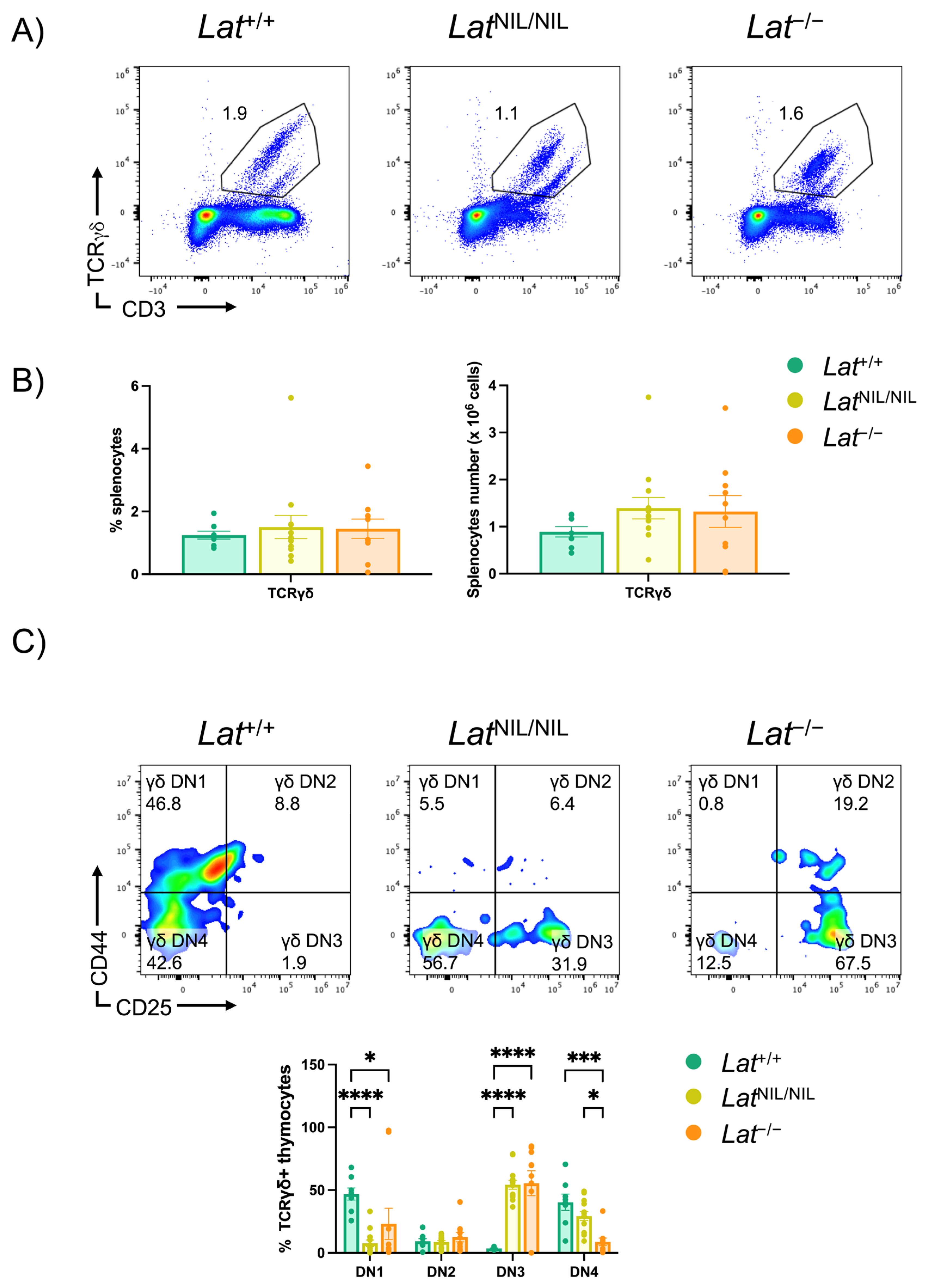Ijms 26 12186 g005 Ijms 26 12186 g005