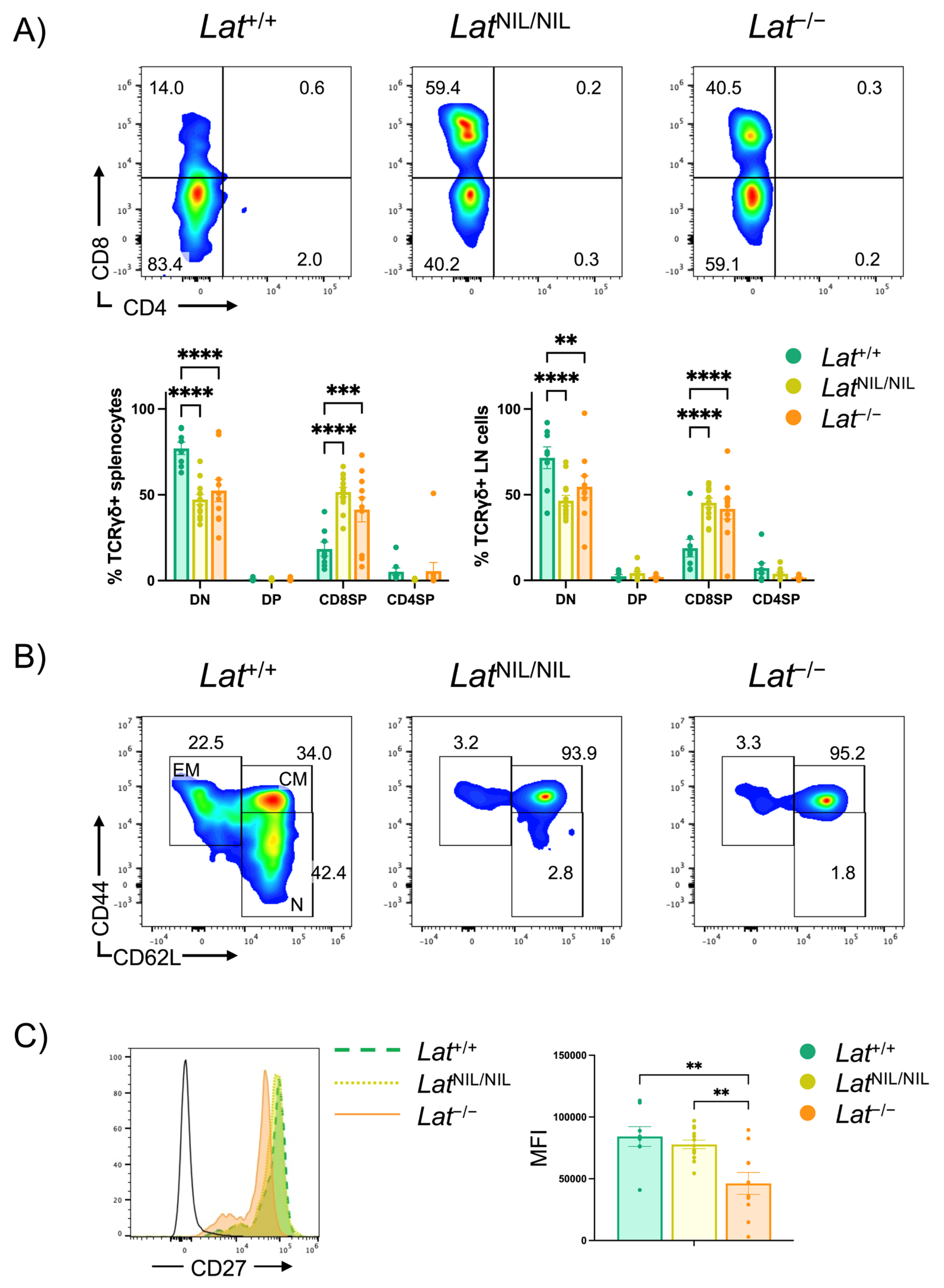 Ijms 26 12186 g006 Ijms 26 12186 g006