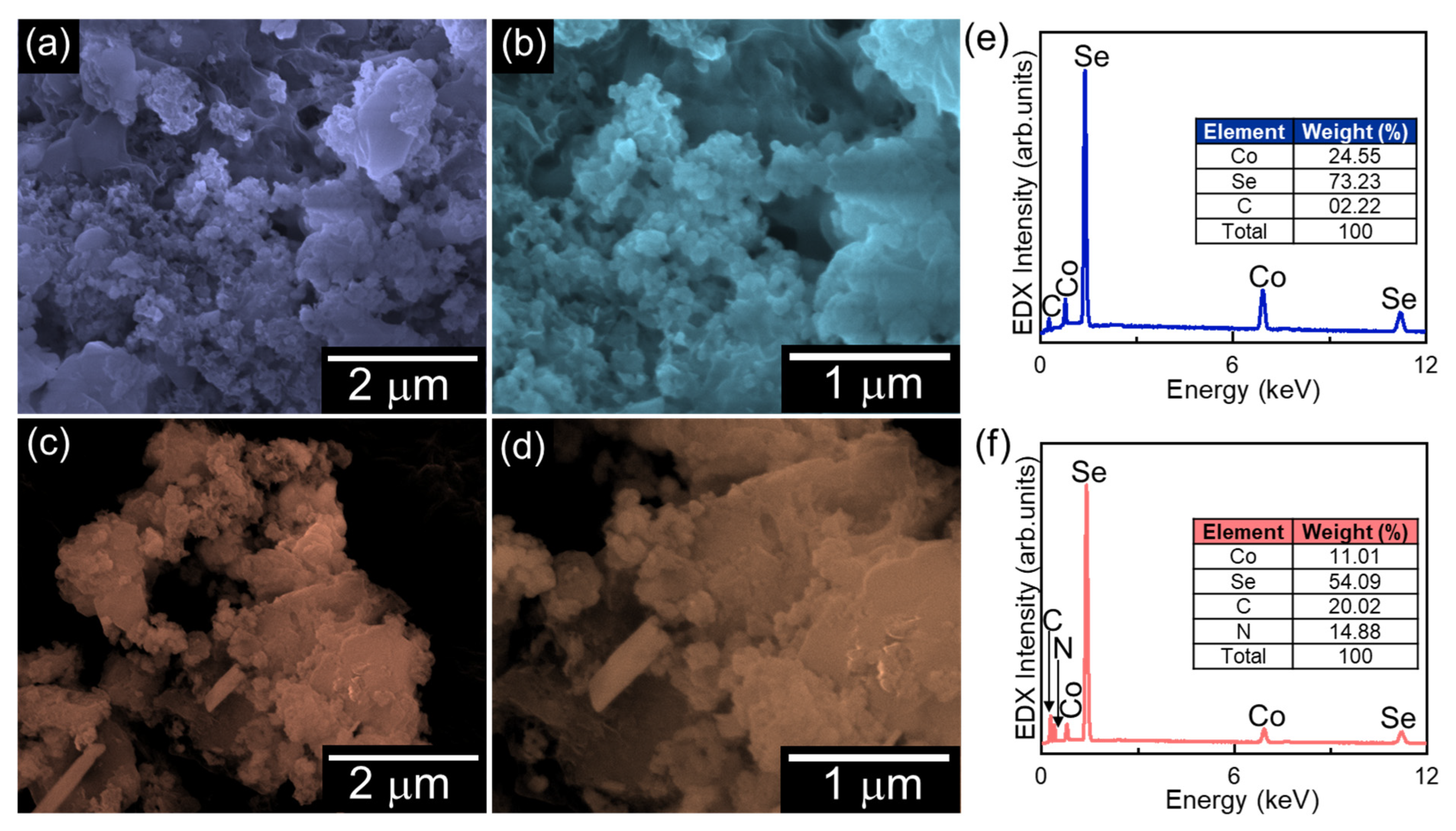 Ijms 26 12188 g001 Ijms 26 12188 g001