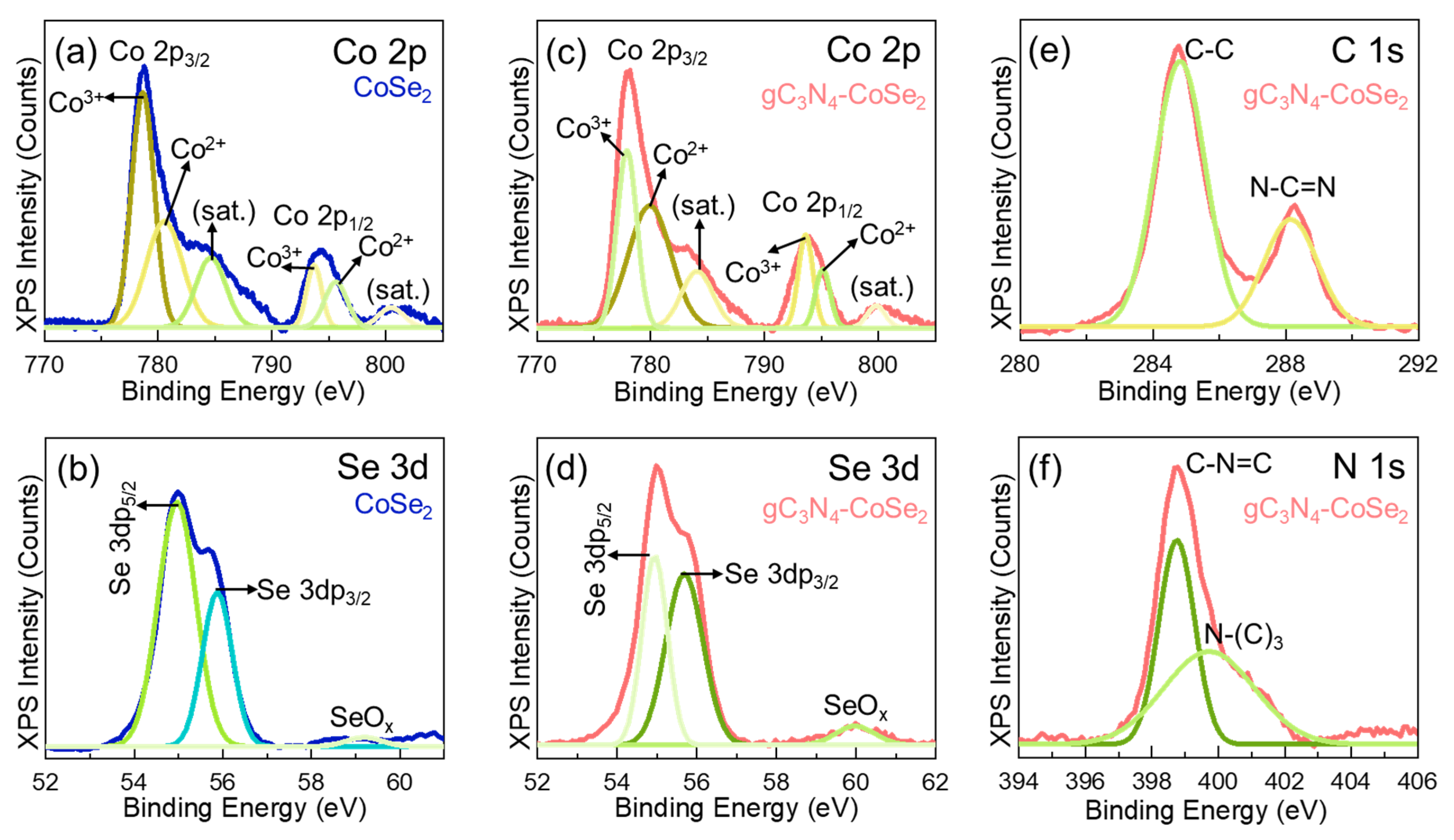 Ijms 26 12188 g003 Ijms 26 12188 g003
