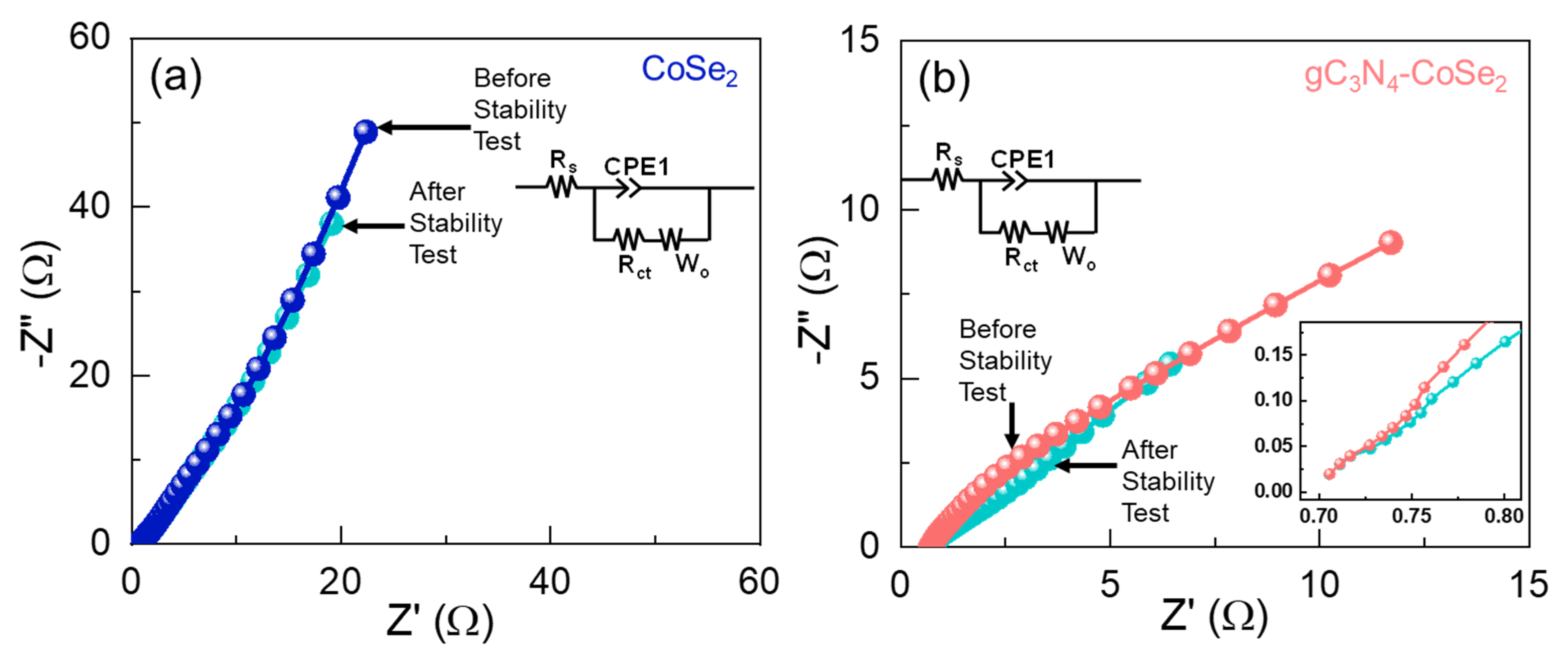Ijms 26 12188 g006 Ijms 26 12188 g006