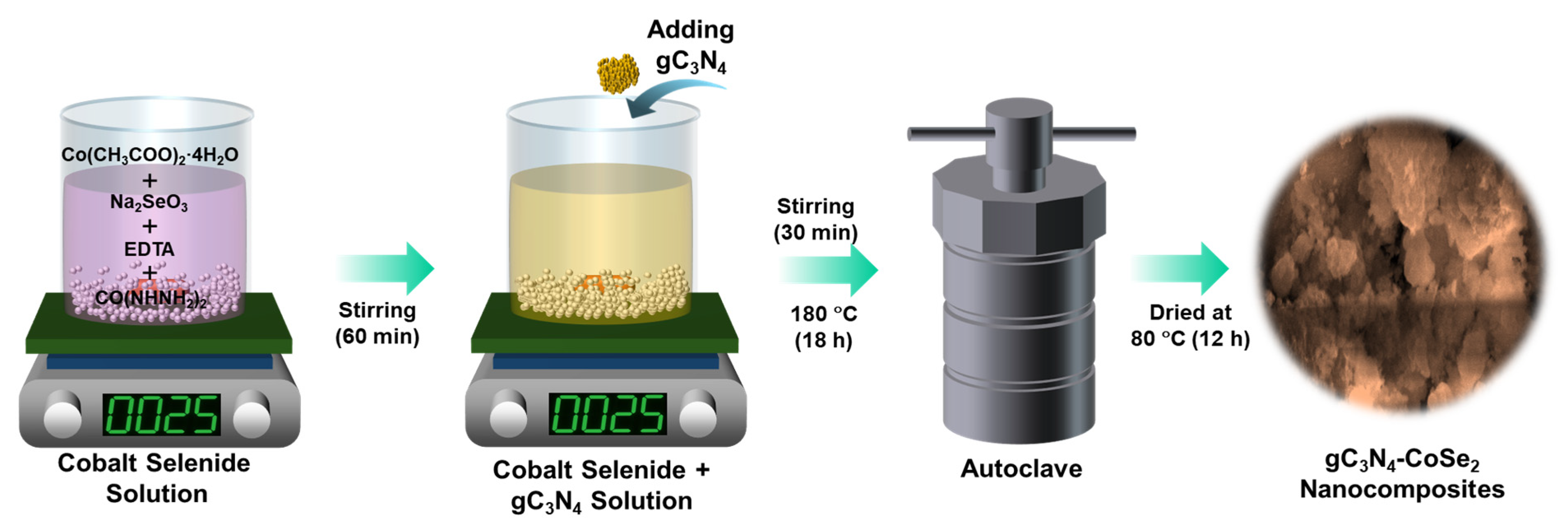 Ijms 26 12188 g007 Ijms 26 12188 g007