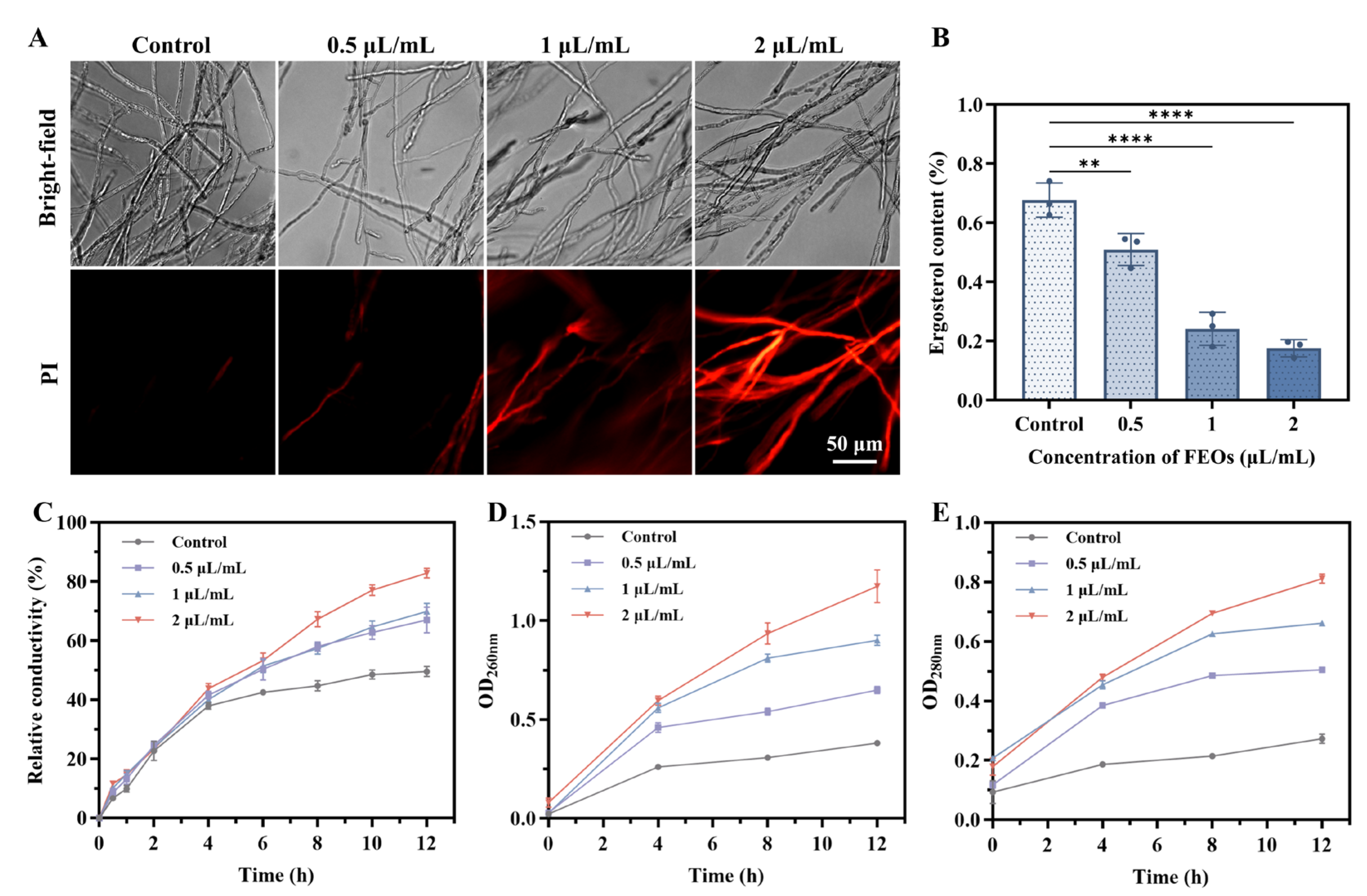 Ijms 27 00049 g009 Ijms 27 00049 g009