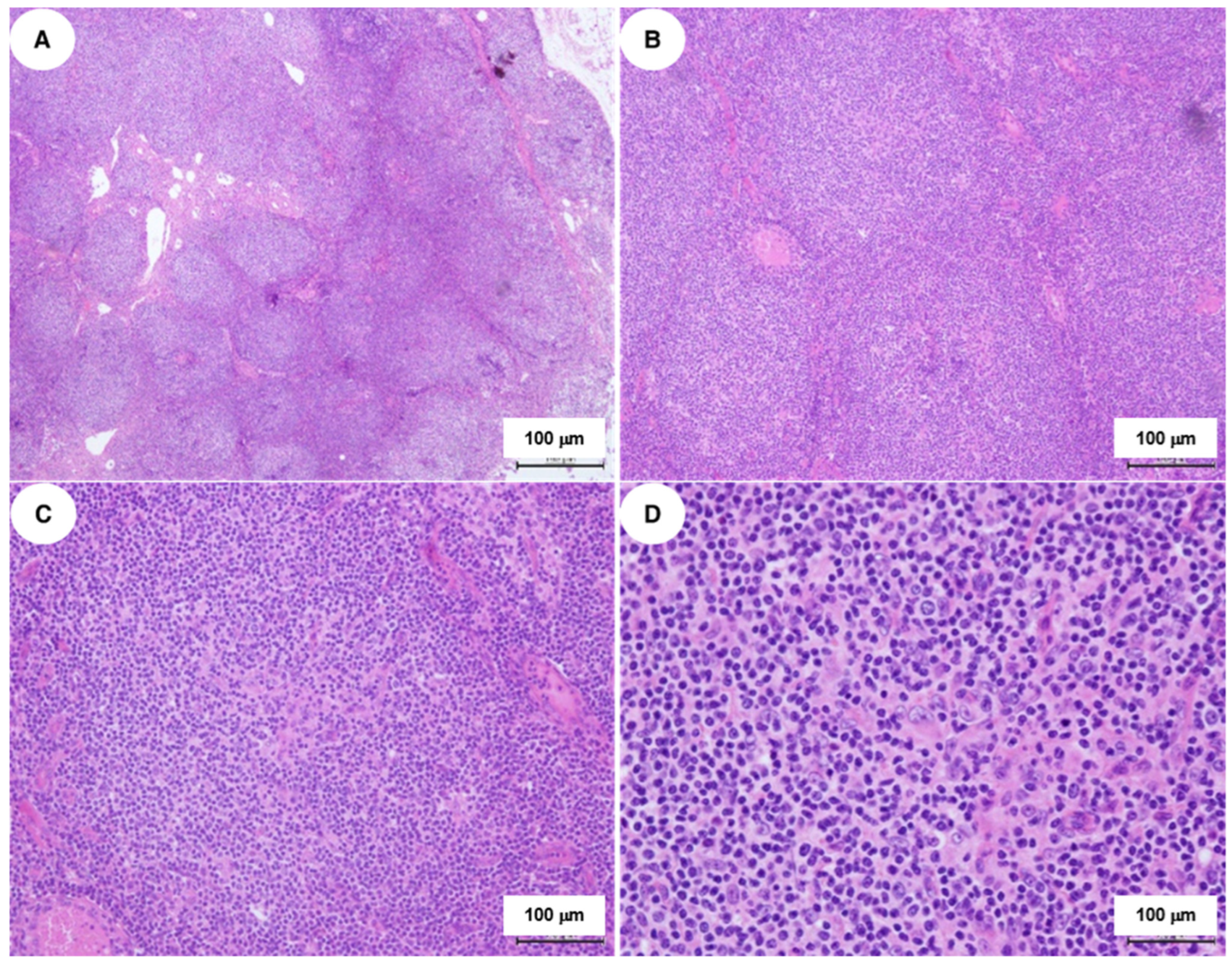 Ijms 27 00051 g001 Ijms 27 00051 g001