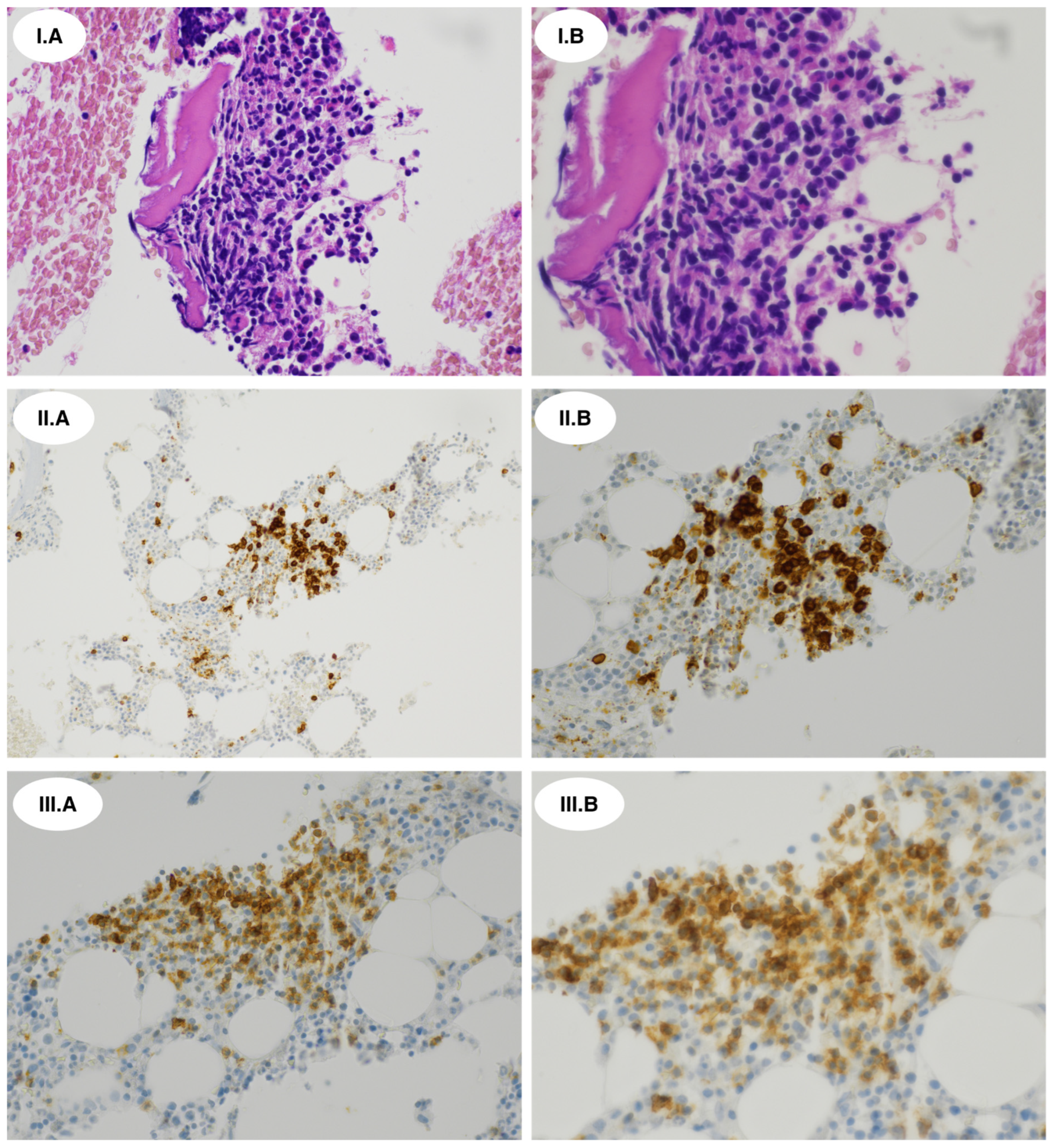 Ijms 27 00051 g004 Ijms 27 00051 g004