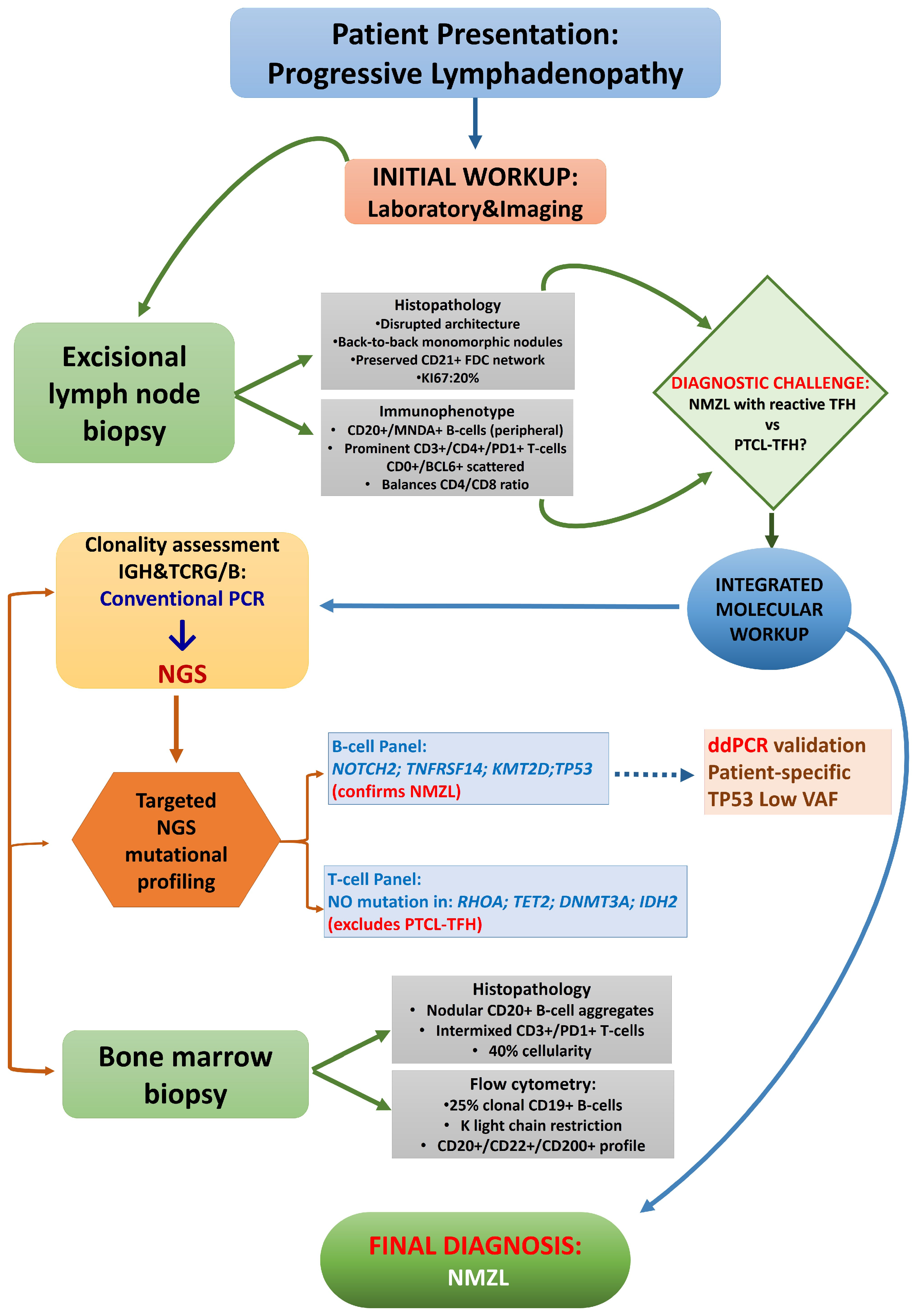 Ijms 27 00051 g007 Ijms 27 00051 g007