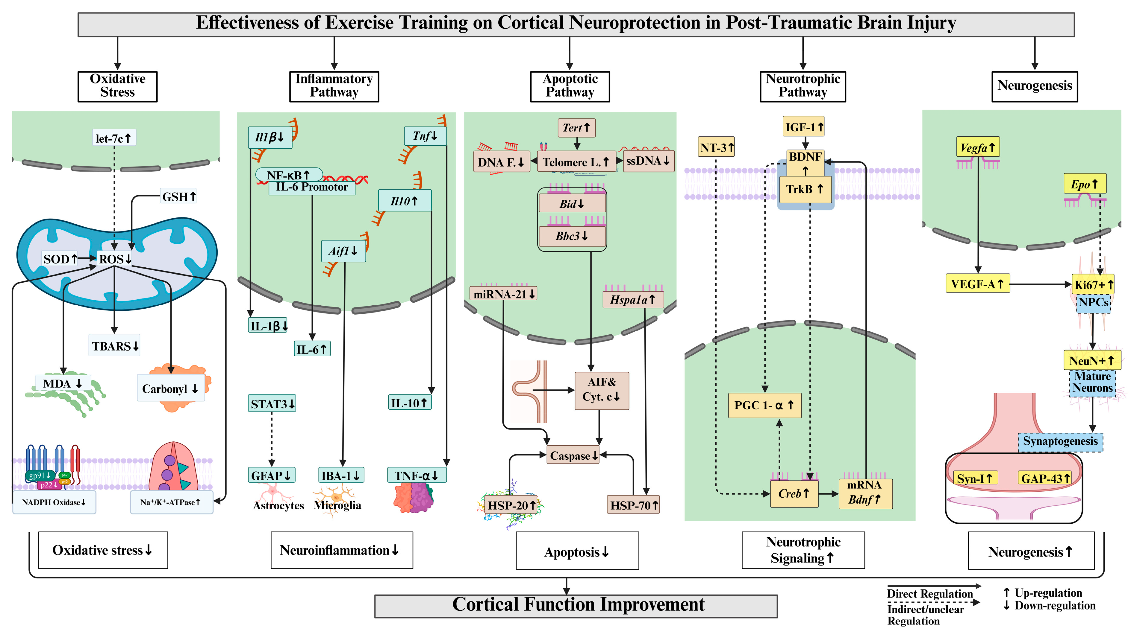 Ijms 27 00052 g004 Ijms 27 00052 g004