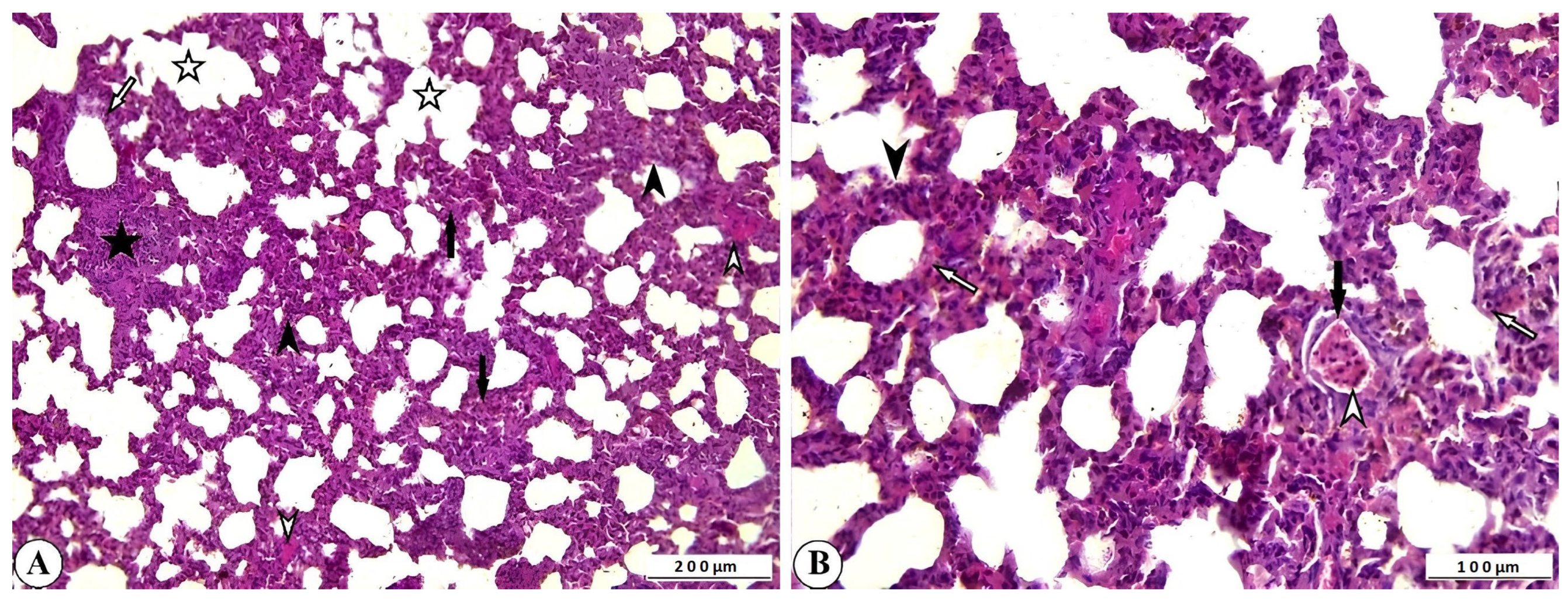 Ijms 27 00065 g003 Ijms 27 00065 g003