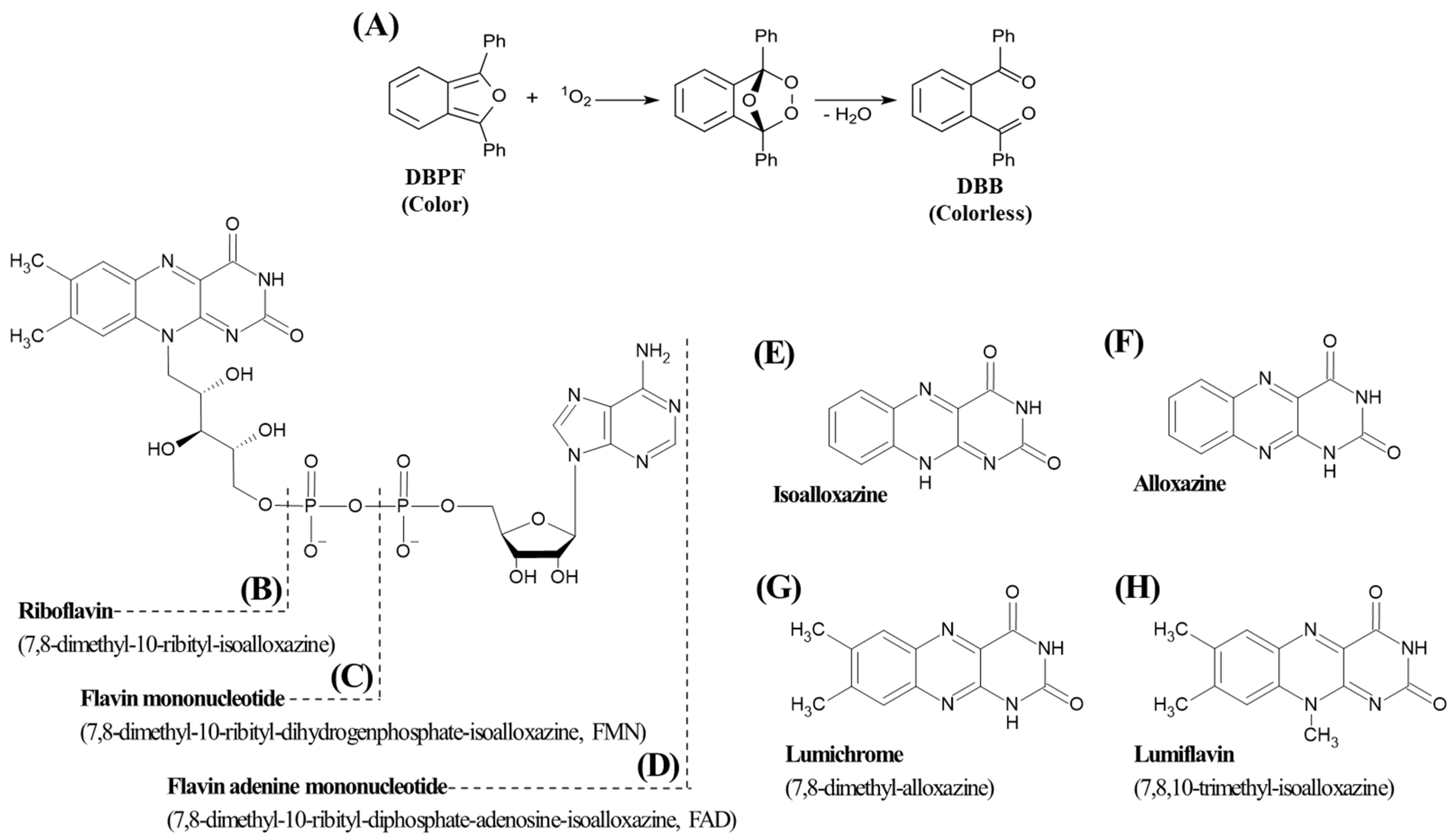 Ijms 27 00066 g001 Ijms 27 00066 g001
