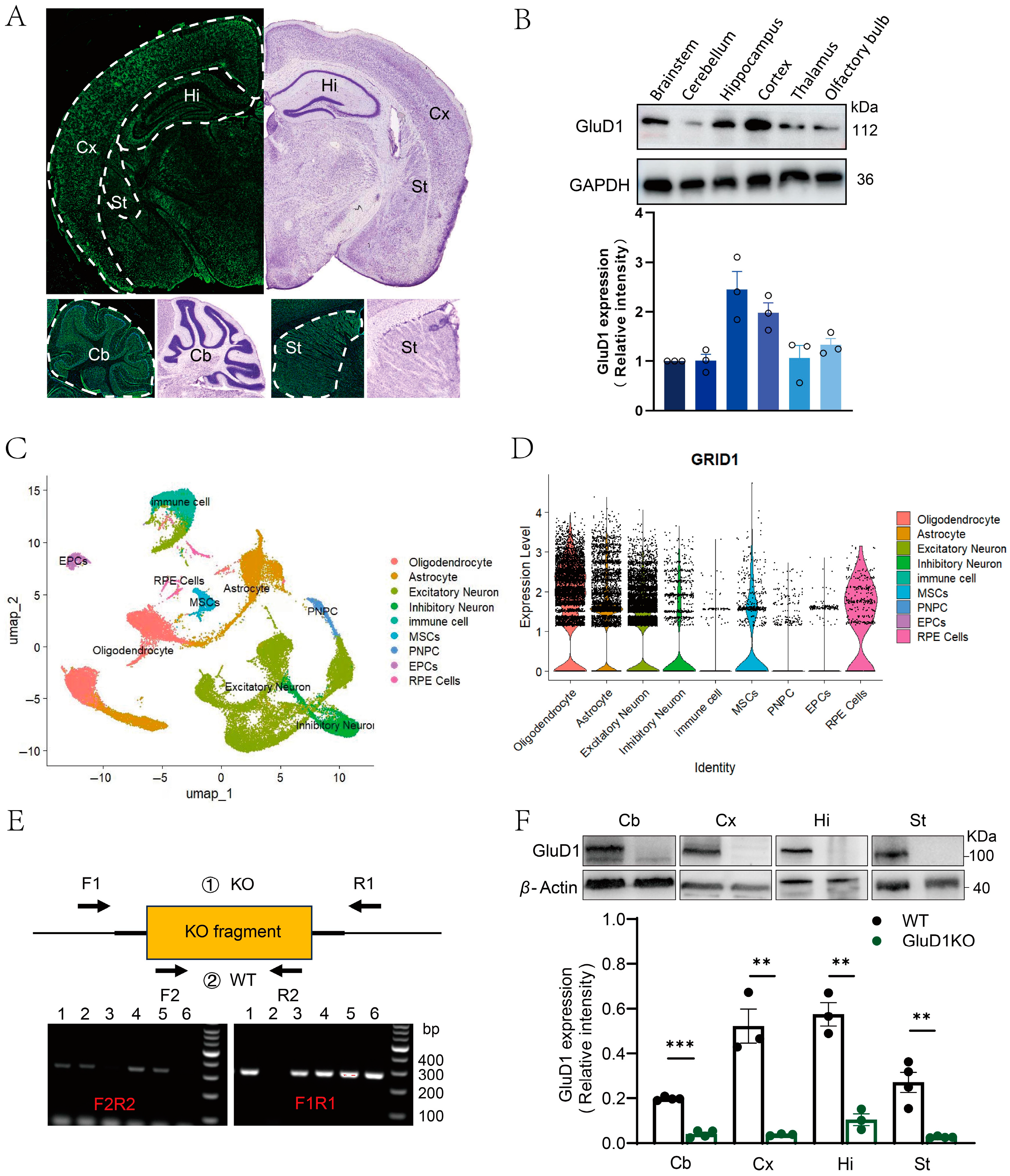 Ijms 27 00067 g001 Ijms 27 00067 g001
