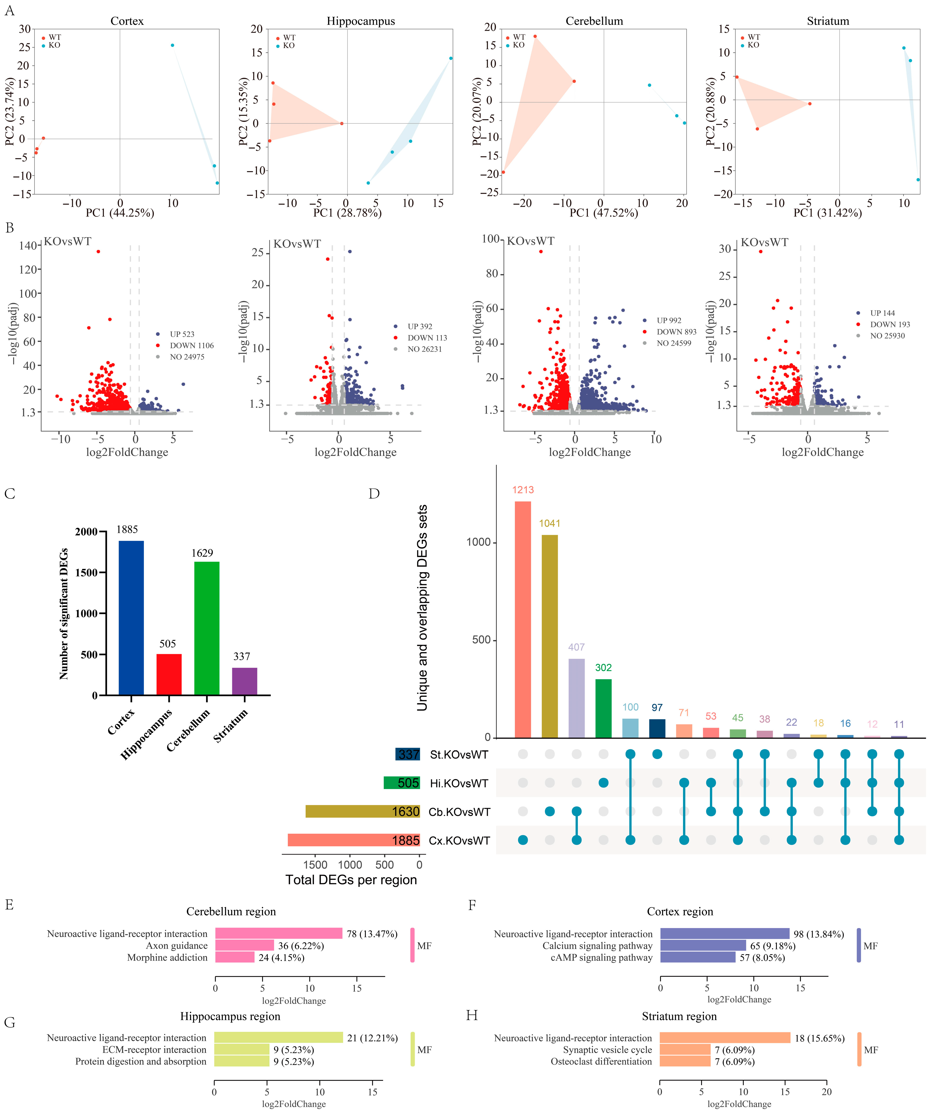 Ijms 27 00067 g002 Ijms 27 00067 g002