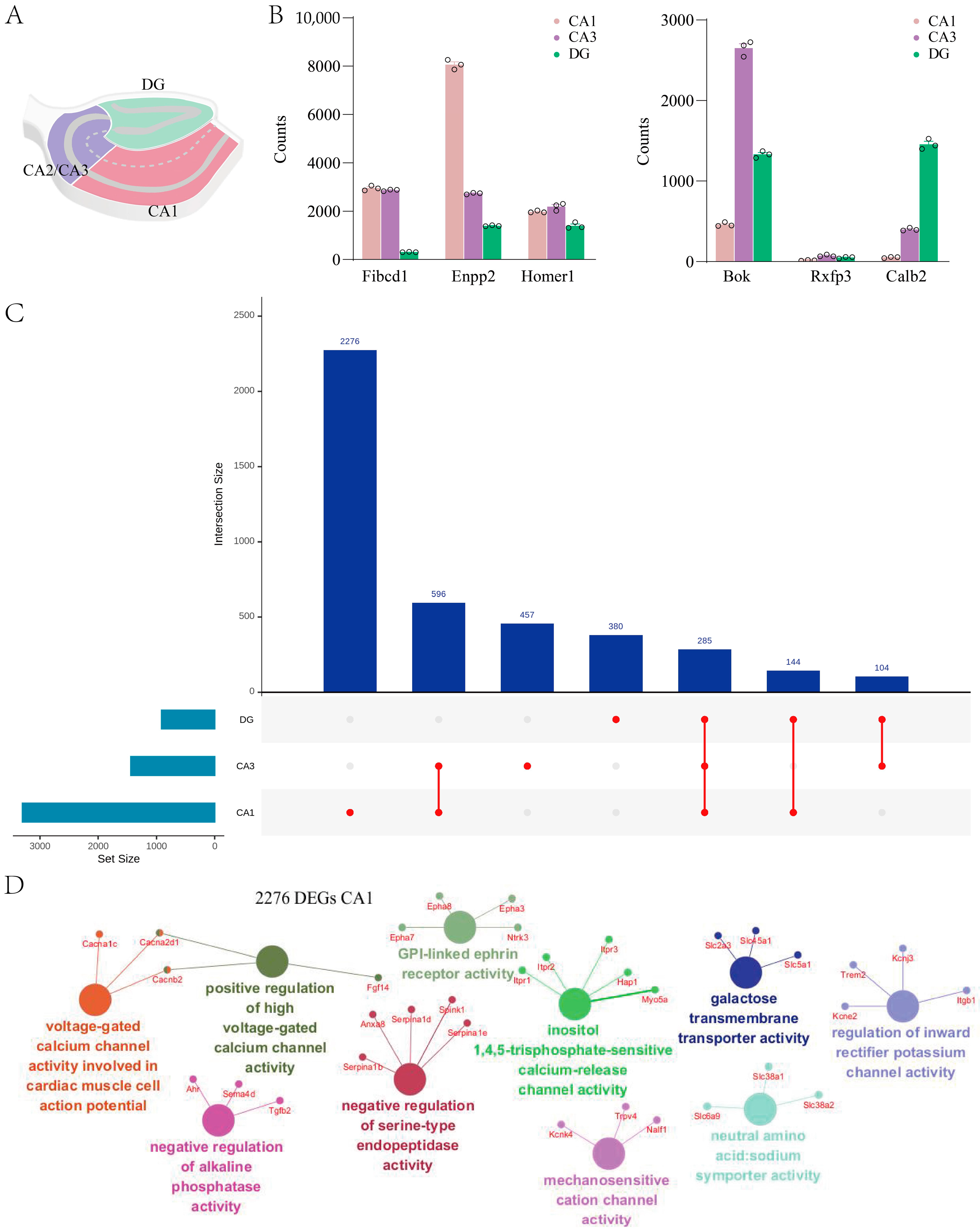 Ijms 27 00067 g003 Ijms 27 00067 g003