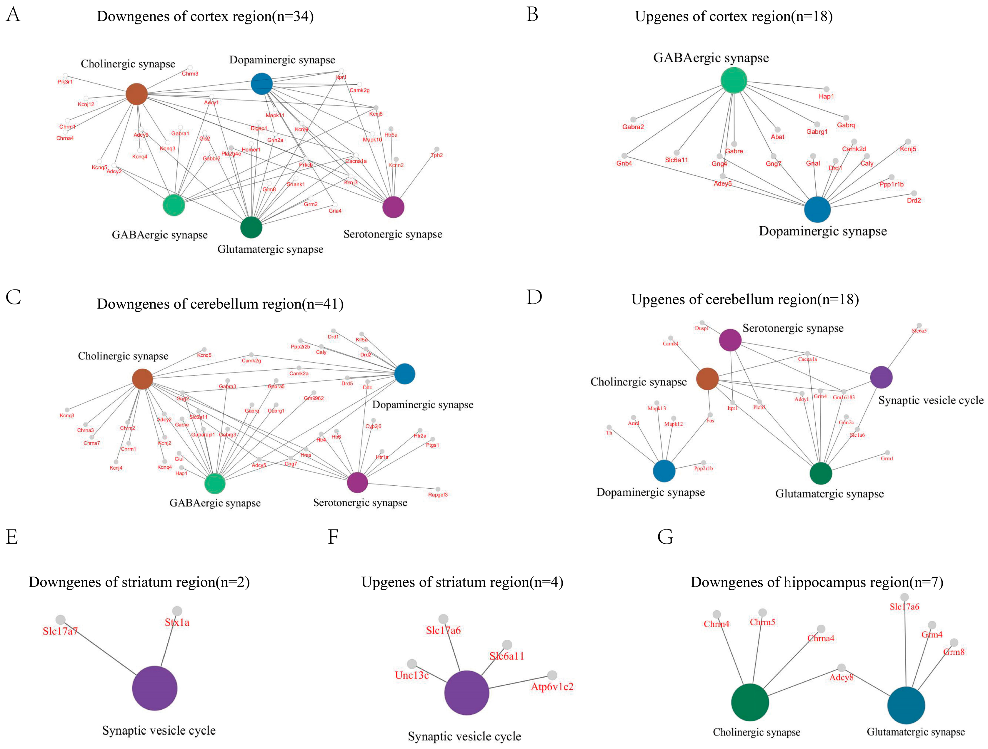 Ijms 27 00067 g004 Ijms 27 00067 g004