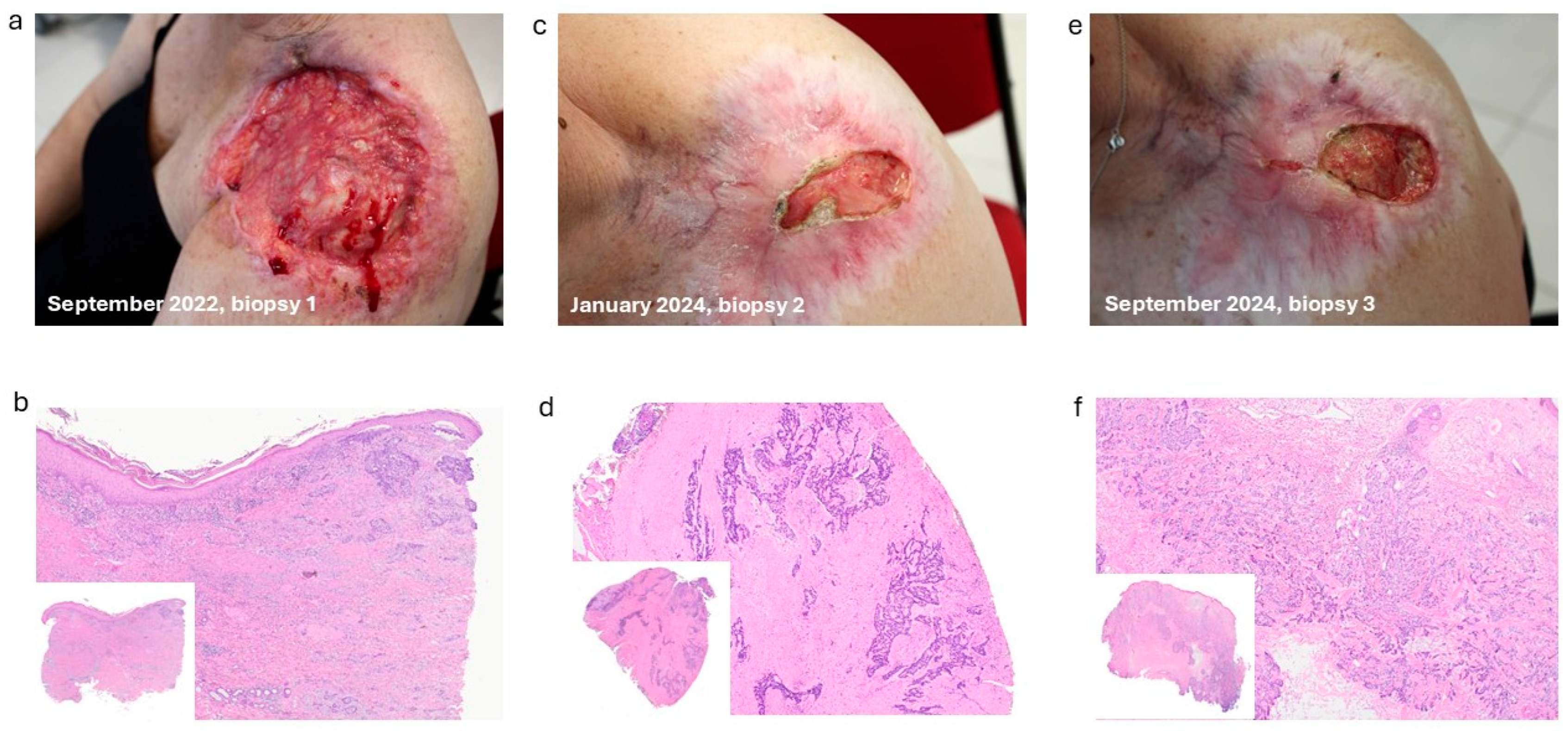 Ijms 27 00068 g001 Ijms 27 00068 g001