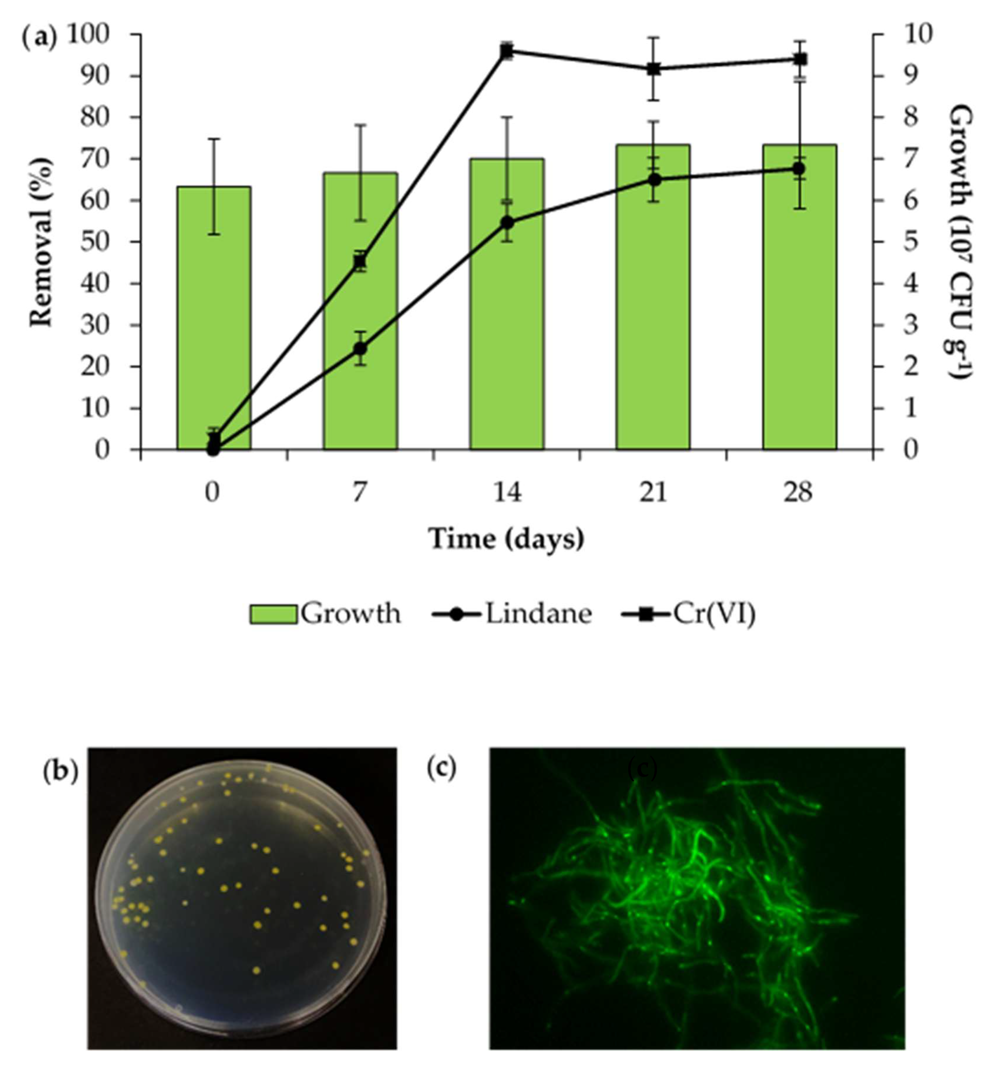 Fluorescence-Based Soil Survival Analysis of the Xenobiotic- and