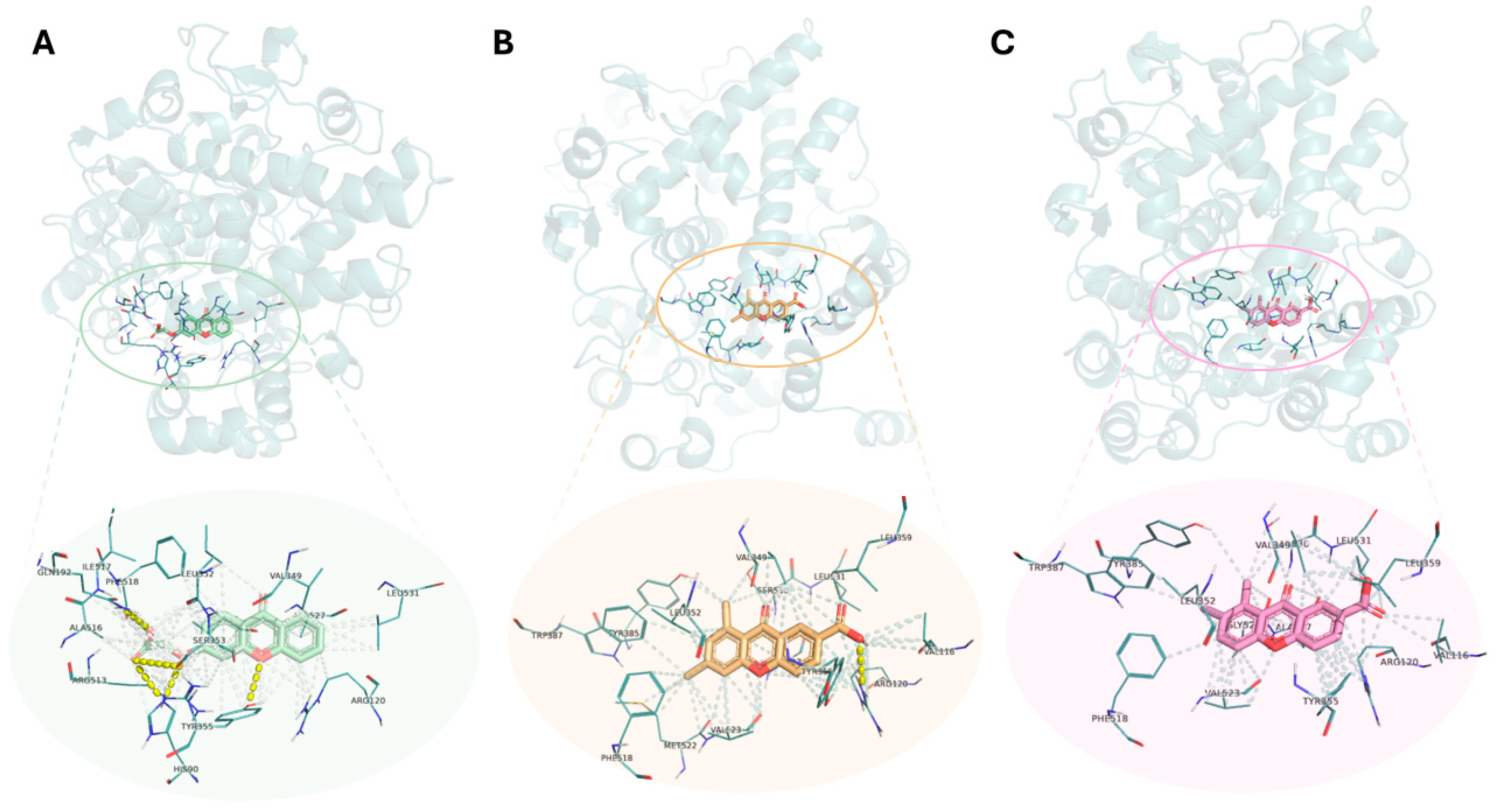 Ijms 27 00110 g006 Ijms 27 00110 g006