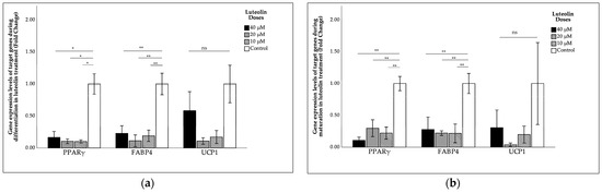 Effects of Luteolin and Apigenin on Adipogenesis Markers PPARγ and ...