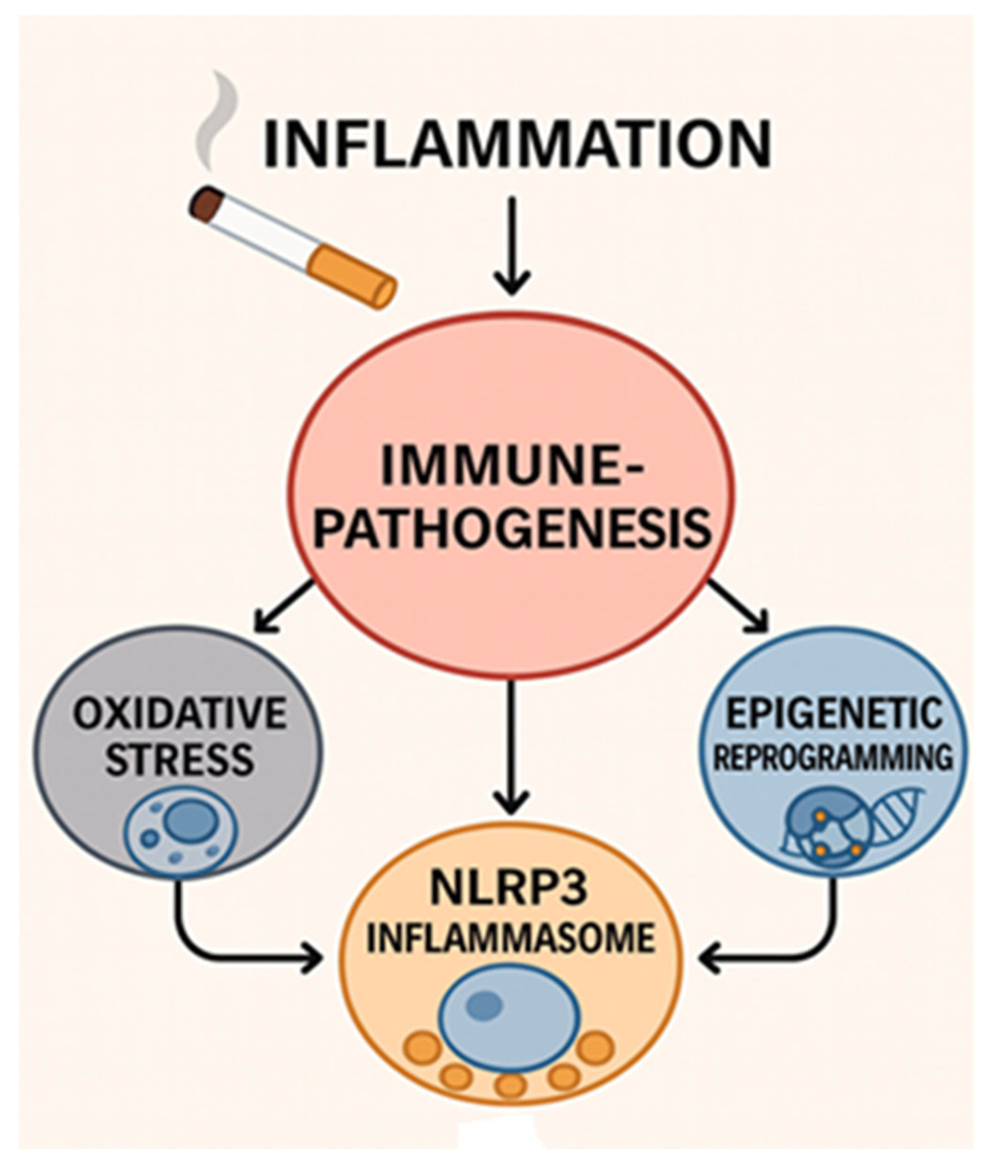 Ijms 27 00187 g001 Ijms 27 00187 g001