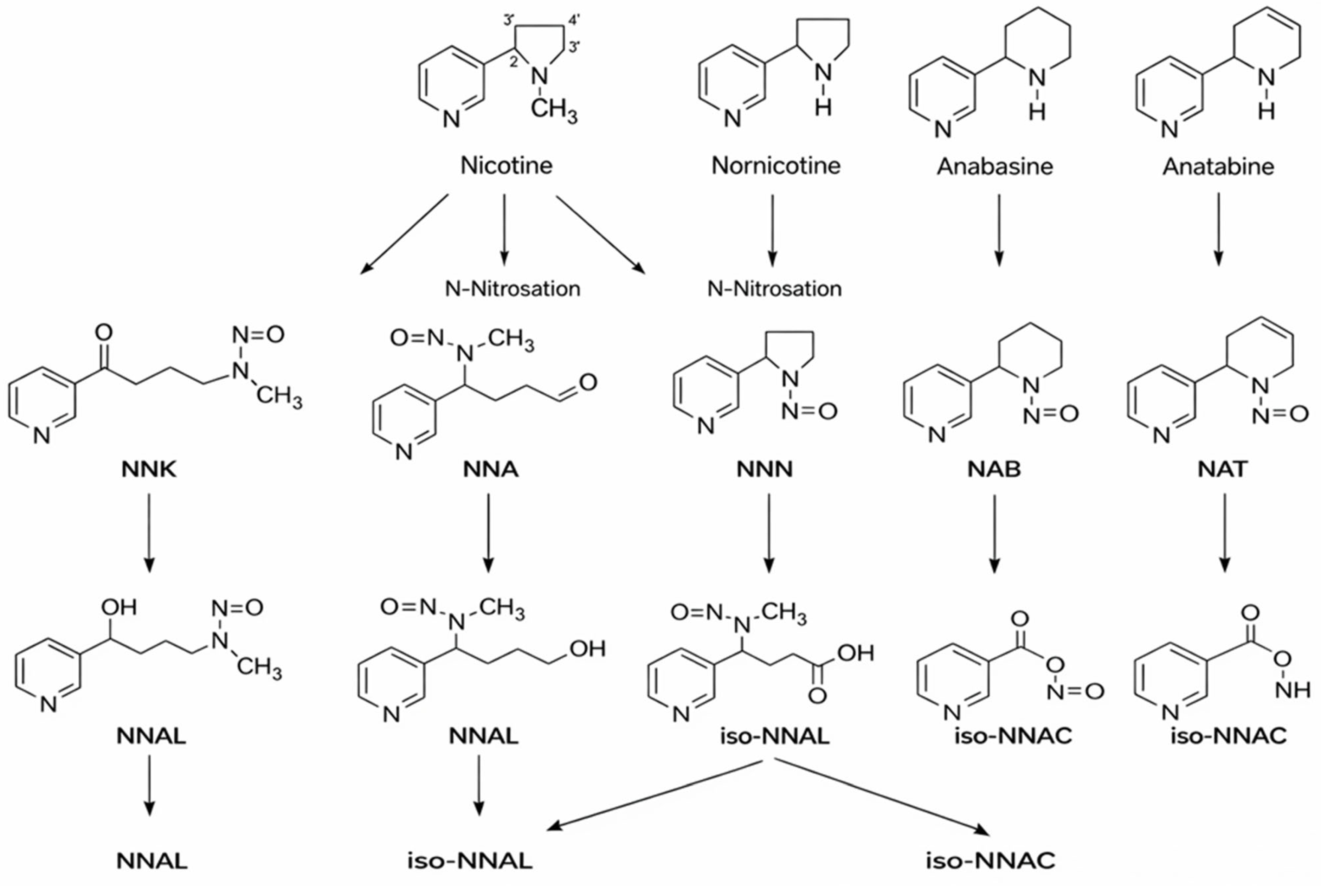 Ijms 27 00187 g002 Ijms 27 00187 g002
