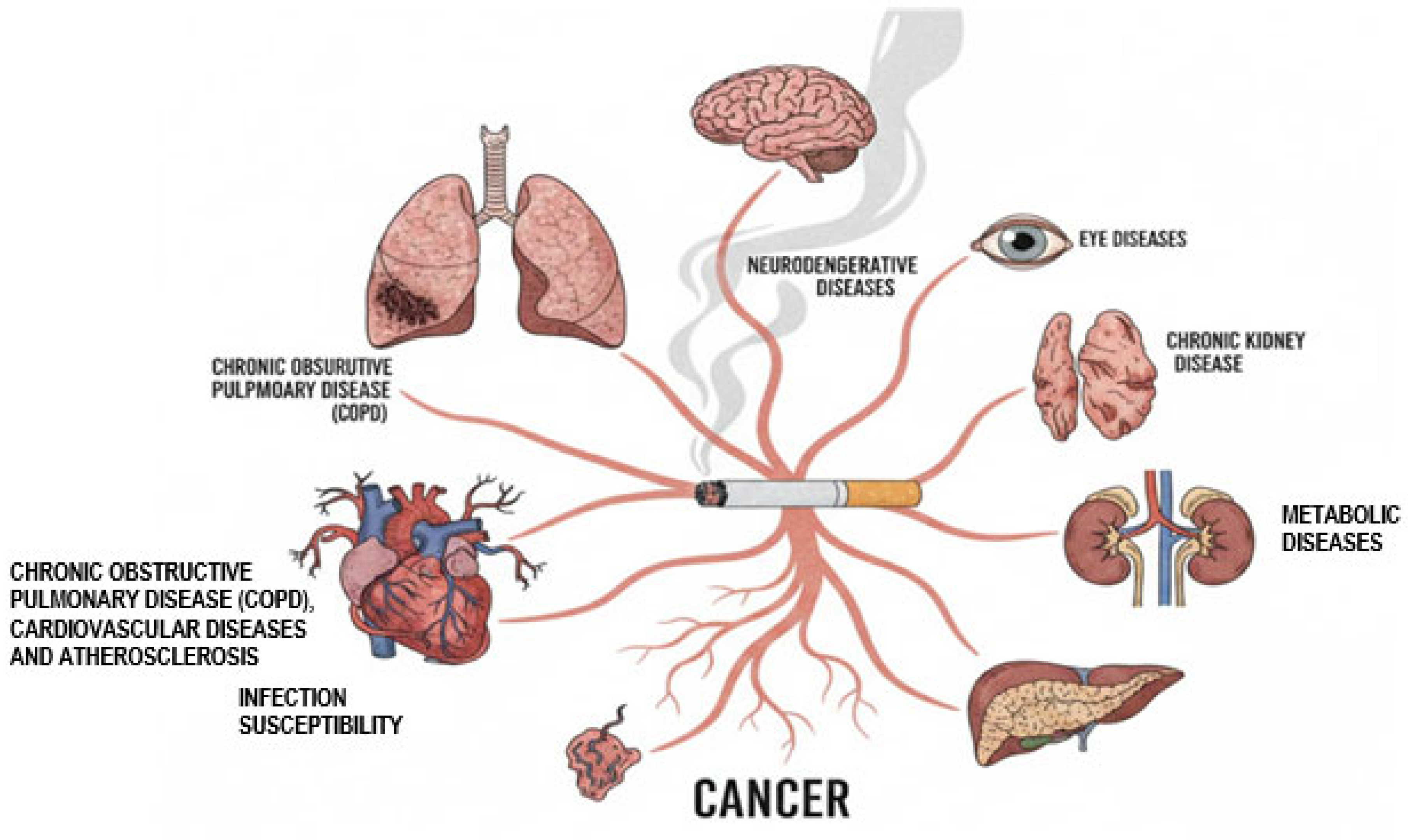 Ijms 27 00187 g003 Ijms 27 00187 g003