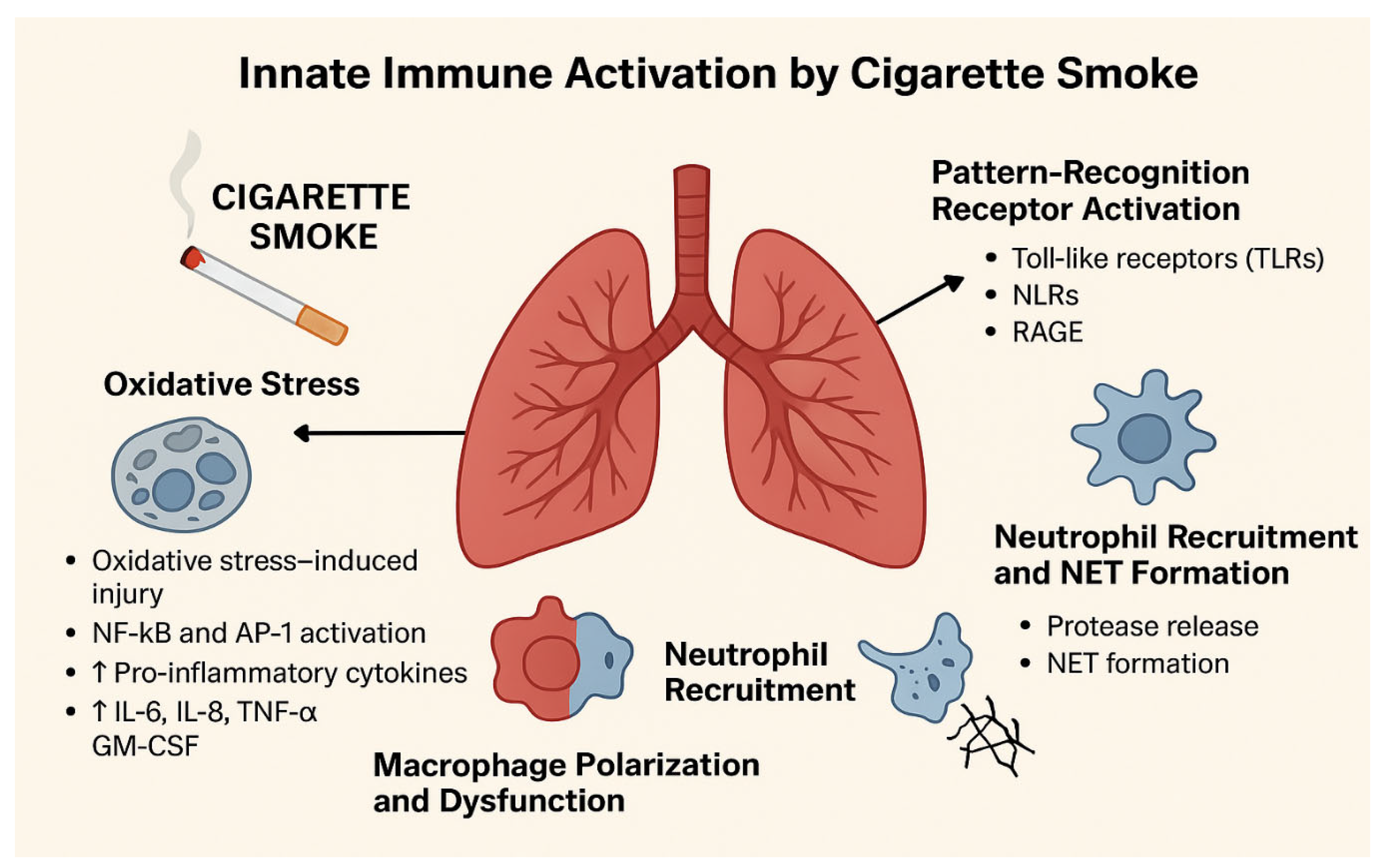 Ijms 27 00187 g004 Ijms 27 00187 g004