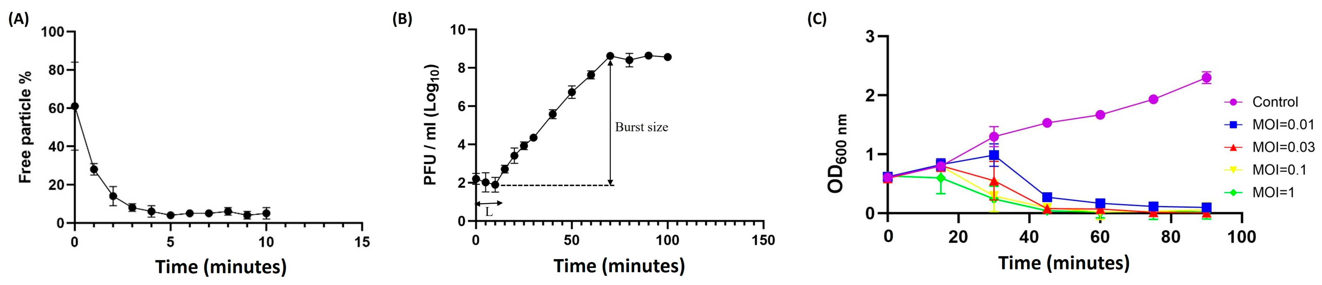 Ijms 27 00195 g002 Ijms 27 00195 g002
